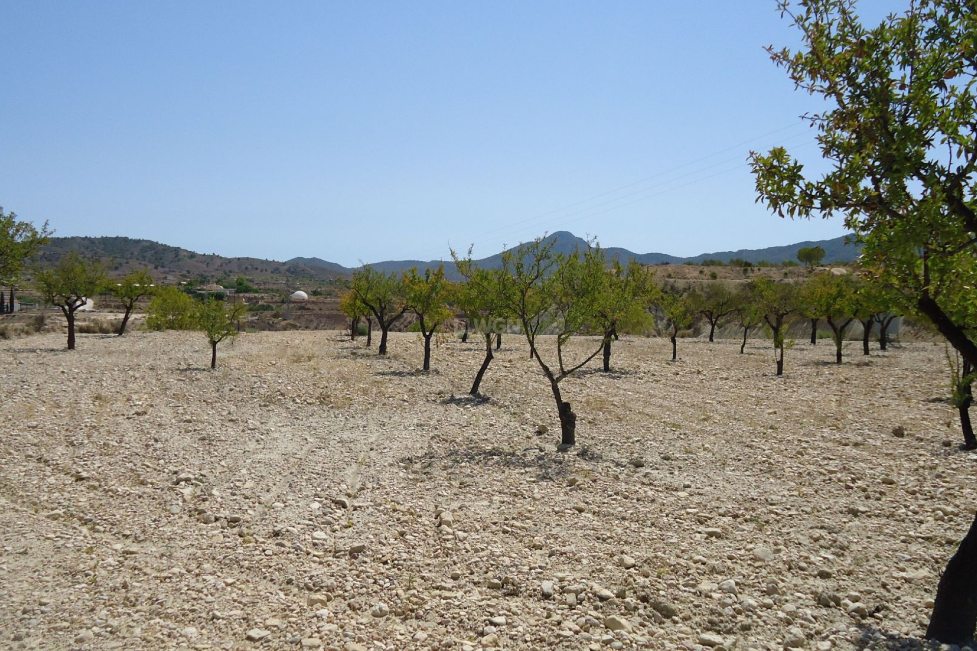 Wiederverkauf - Grundstück / Grundstück - Abanilla - Inland