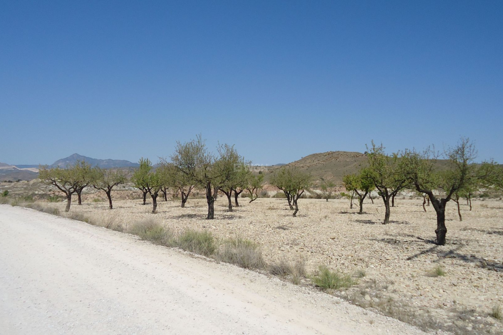 Wiederverkauf - Grundstück / Grundstück - Abanilla - Inland