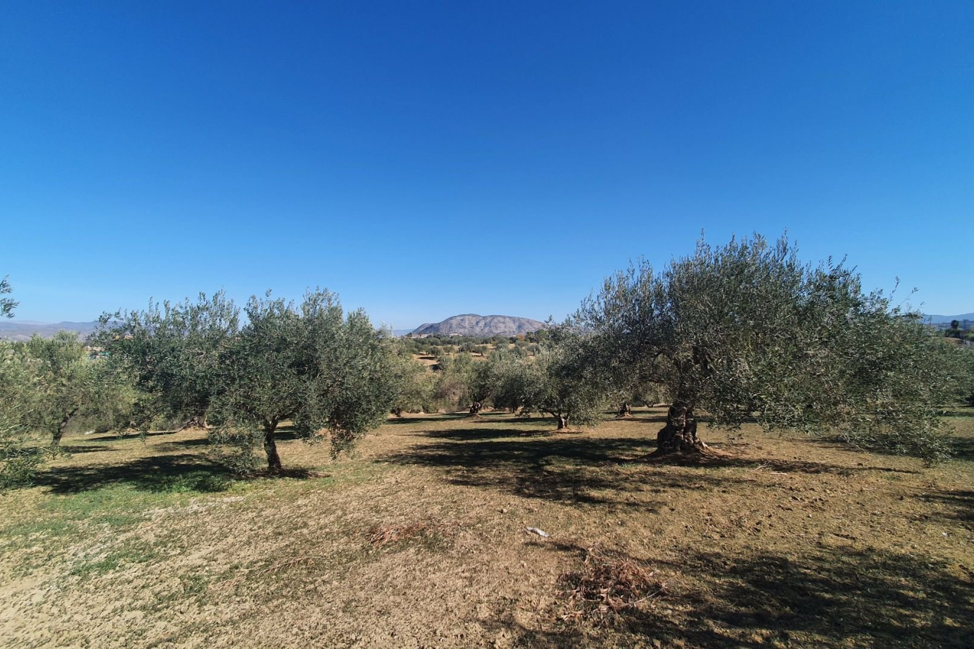Wiederverkauf - Grundstück / Grundstück - Alhaurin el Grande - Inland