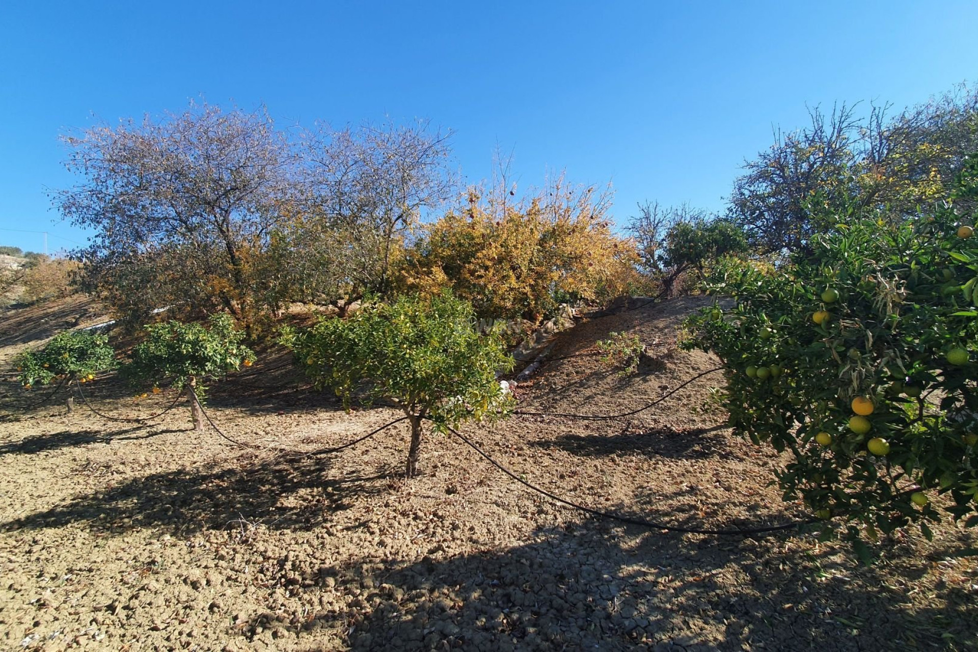 Wiederverkauf - Grundstück / Grundstück - Alhaurin el Grande - Inland