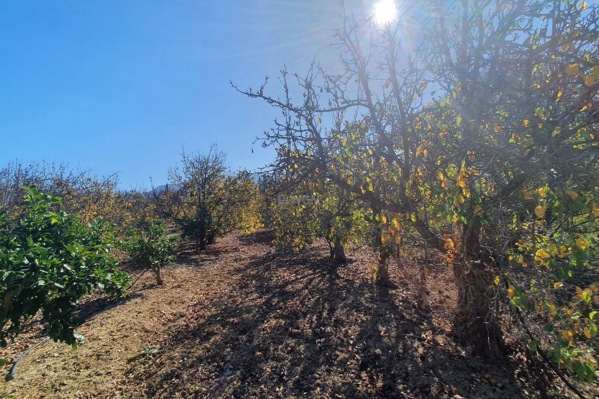 Wiederverkauf - Grundstück / Grundstück - Alhaurin el Grande - Inland