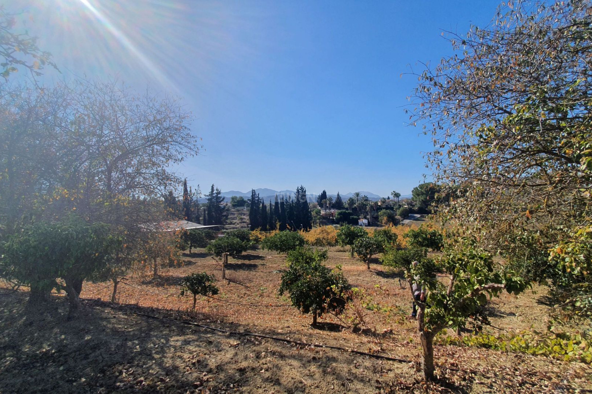 Wiederverkauf - Grundstück / Grundstück - Alhaurin el Grande - Inland