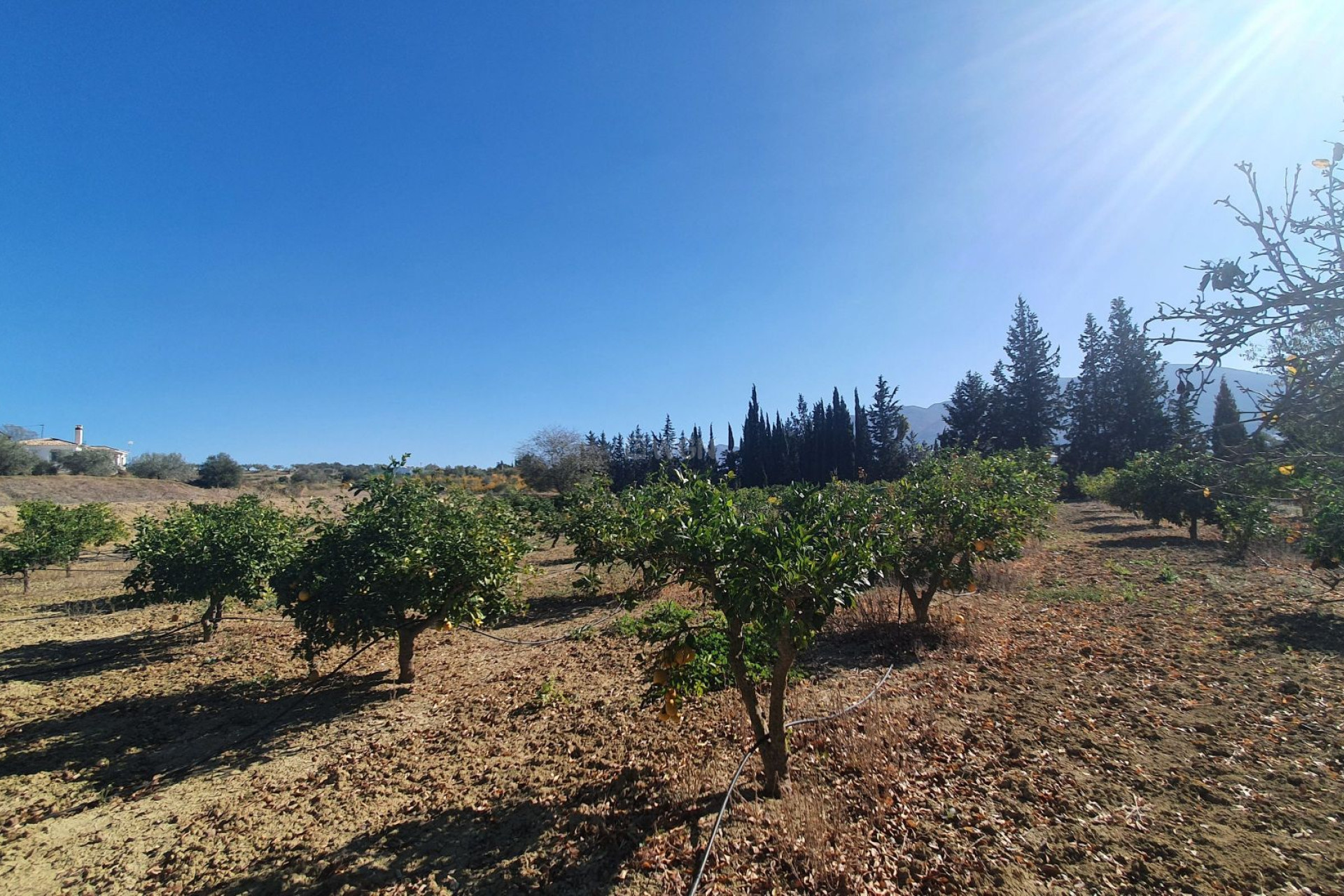 Wiederverkauf - Grundstück / Grundstück - Alhaurin el Grande - Inland