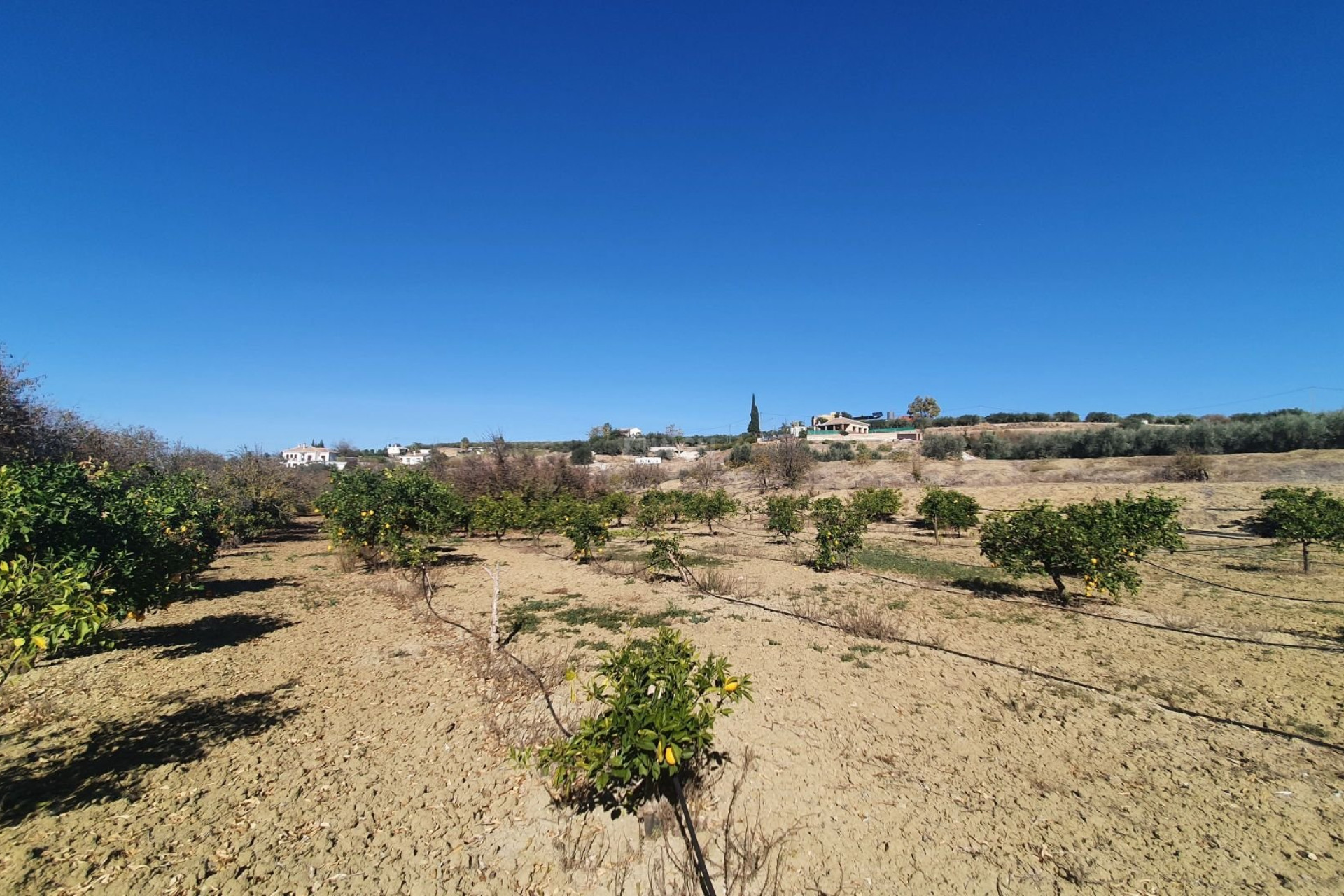 Wiederverkauf - Grundstück / Grundstück - Alhaurin el Grande - Inland