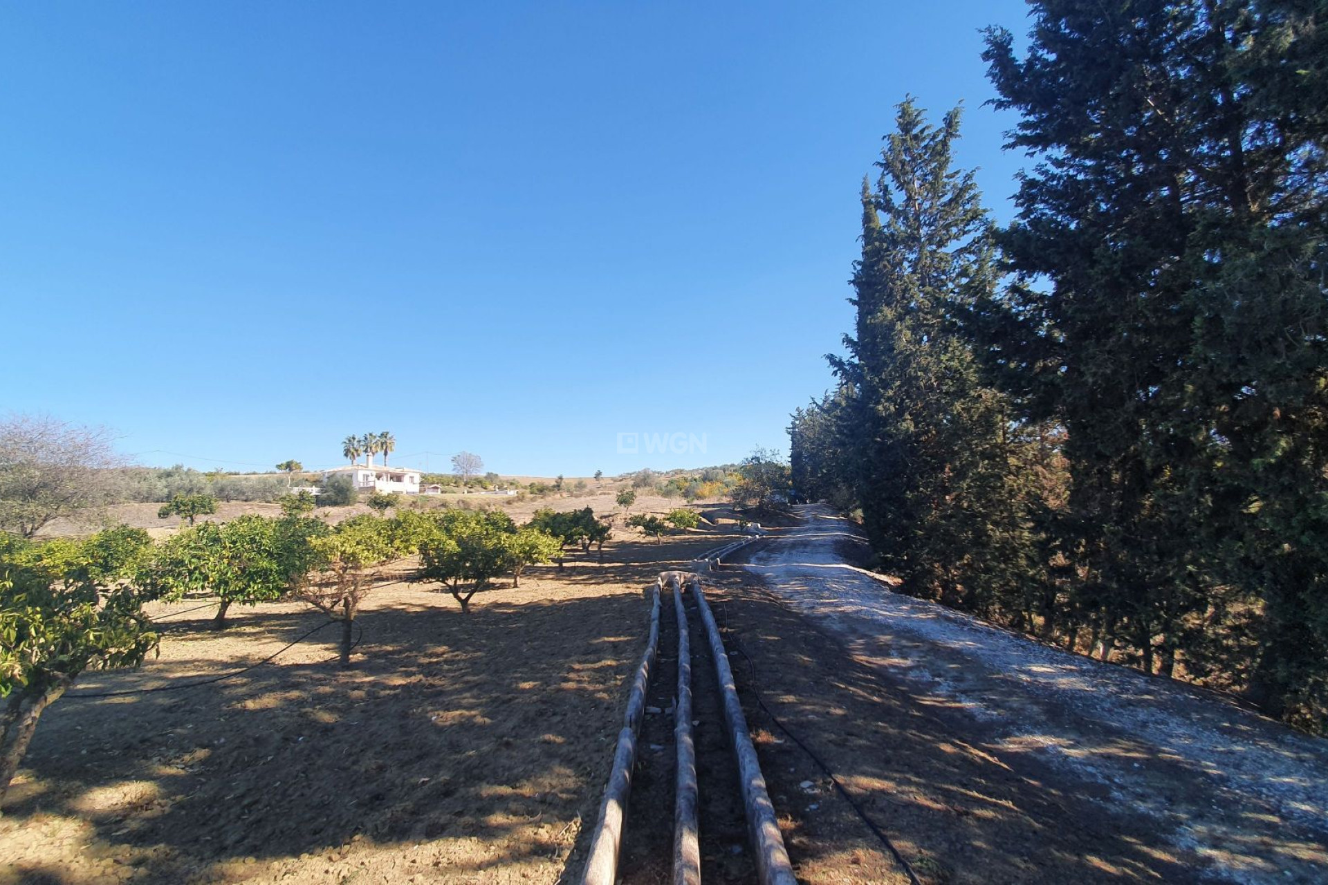 Wiederverkauf - Grundstück / Grundstück - Alhaurin el Grande - Inland