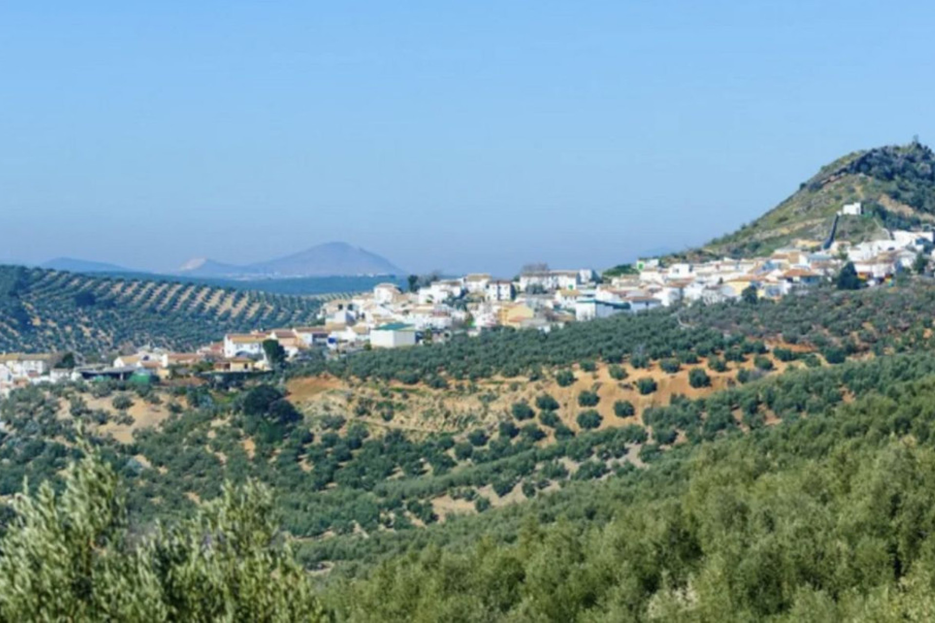 Wiederverkauf - Grundstück / Grundstück - Antequera - Inland