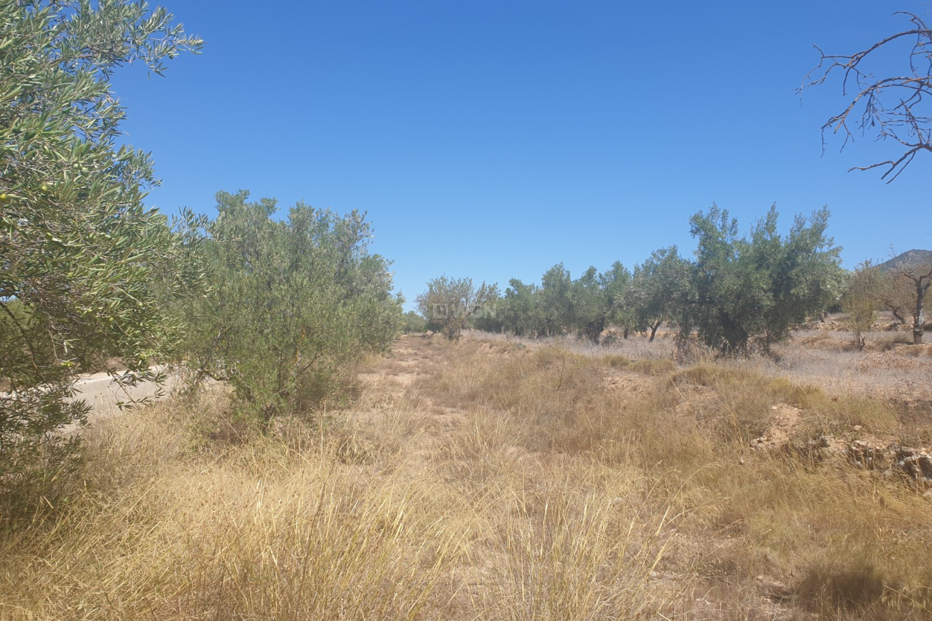 Wiederverkauf - Grundstück / Grundstück - Biar - Inland