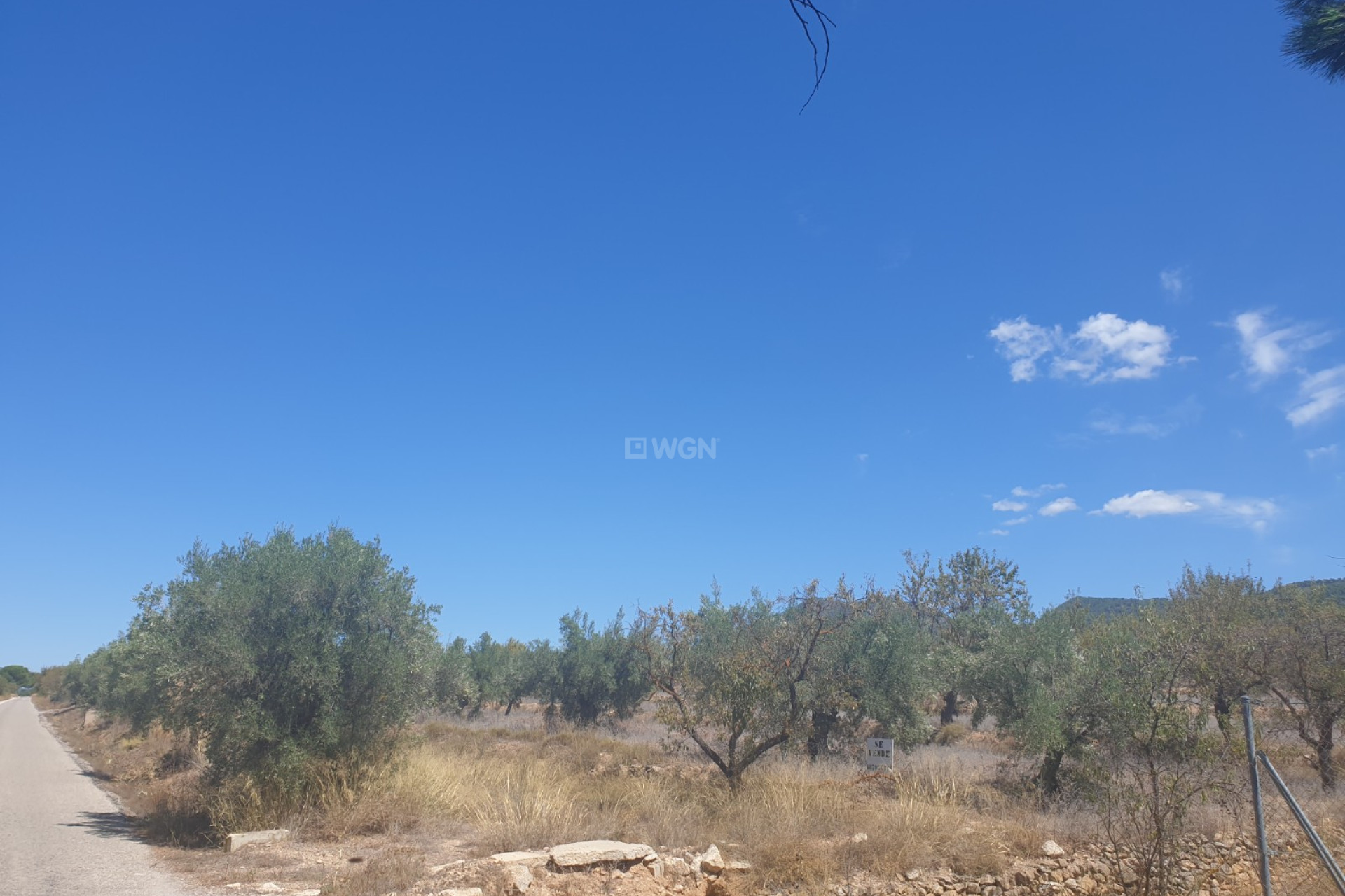 Wiederverkauf - Grundstück / Grundstück - Biar - Inland