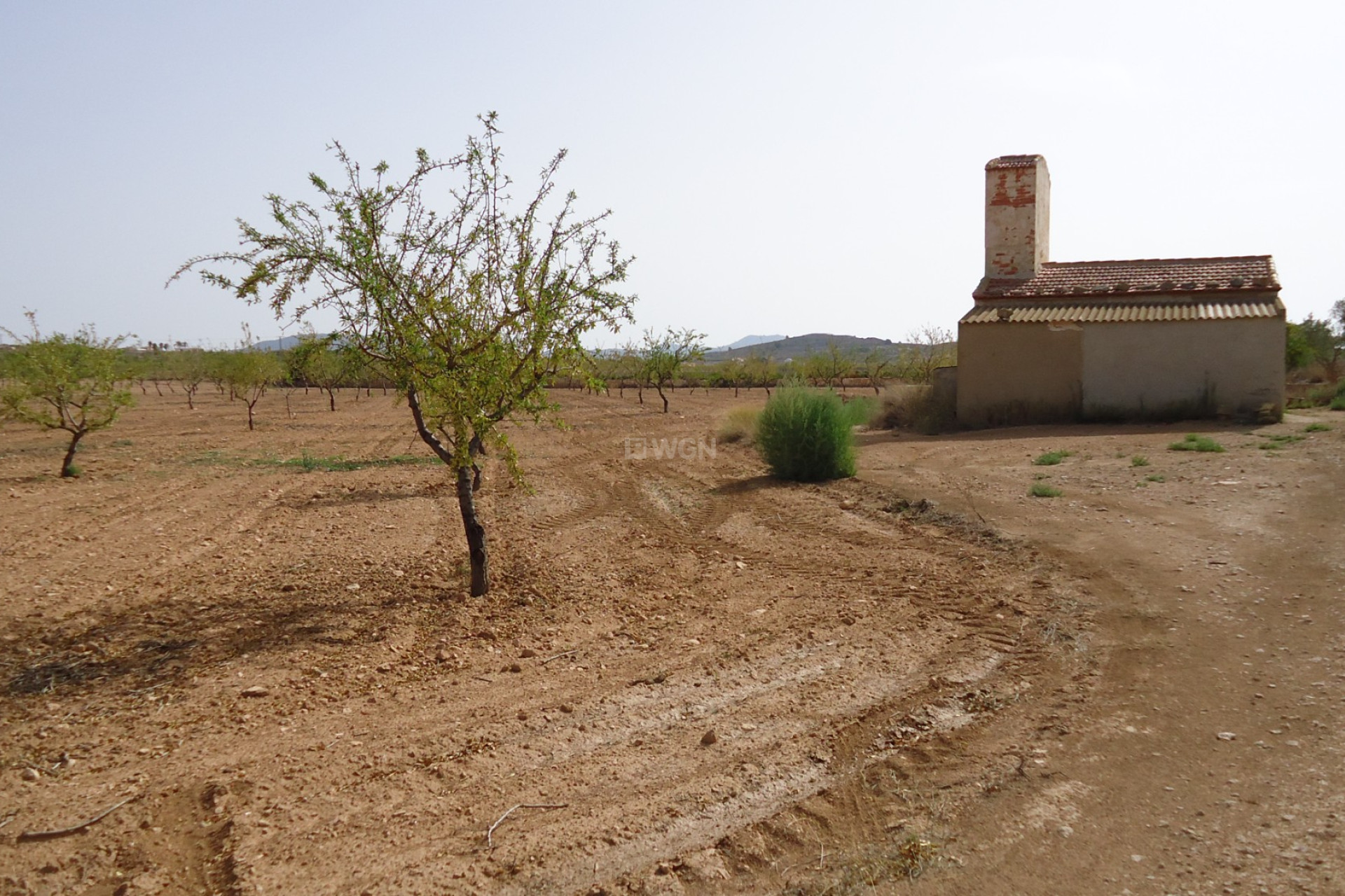 Wiederverkauf - Grundstück / Grundstück - Canada del Trigo - Inland
