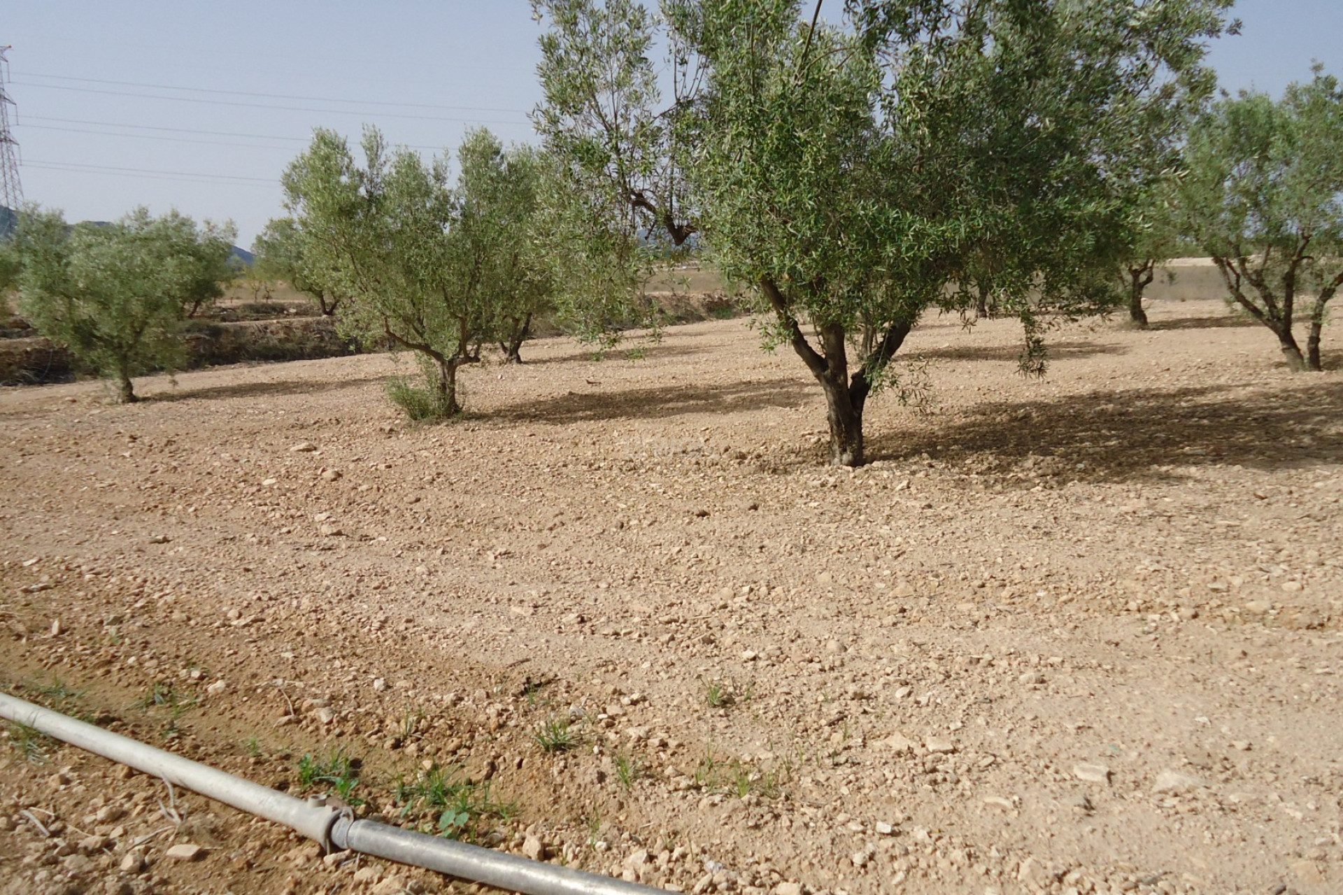 Wiederverkauf - Grundstück / Grundstück - Canada del Trigo - Inland
