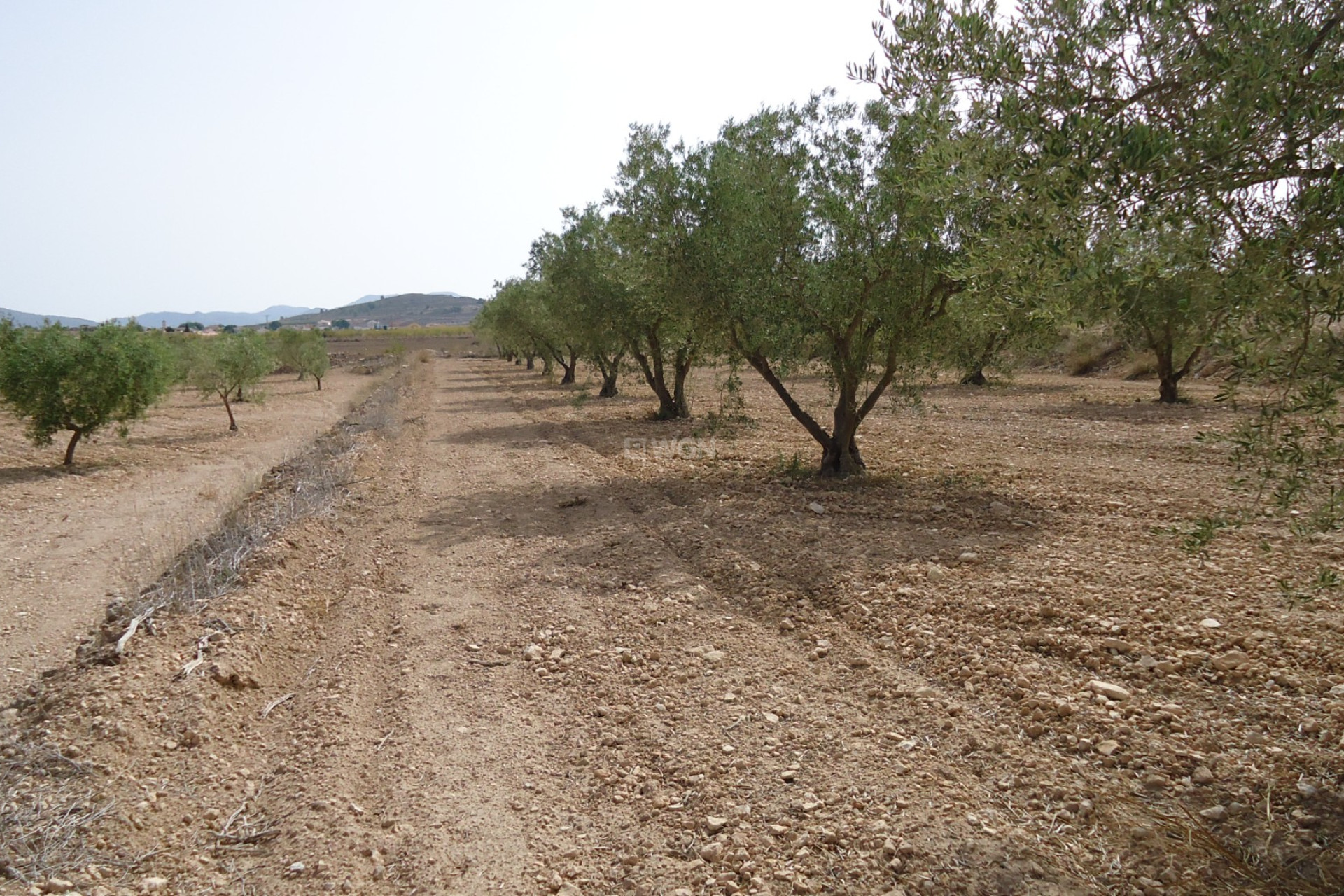 Wiederverkauf - Grundstück / Grundstück - Canada del Trigo - Inland