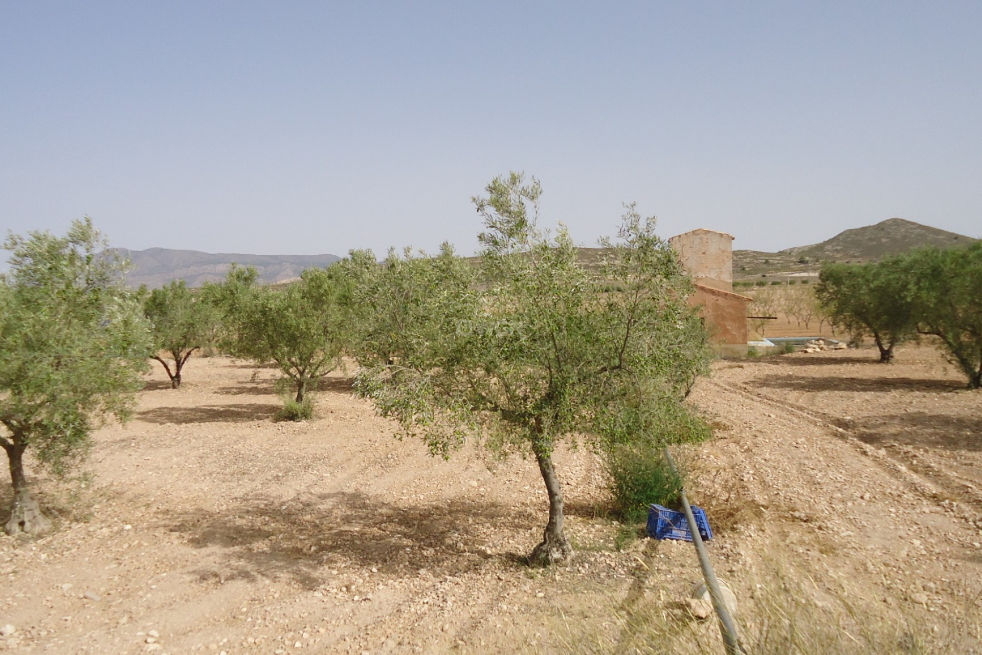 Wiederverkauf - Grundstück / Grundstück - Canada del Trigo - Inland