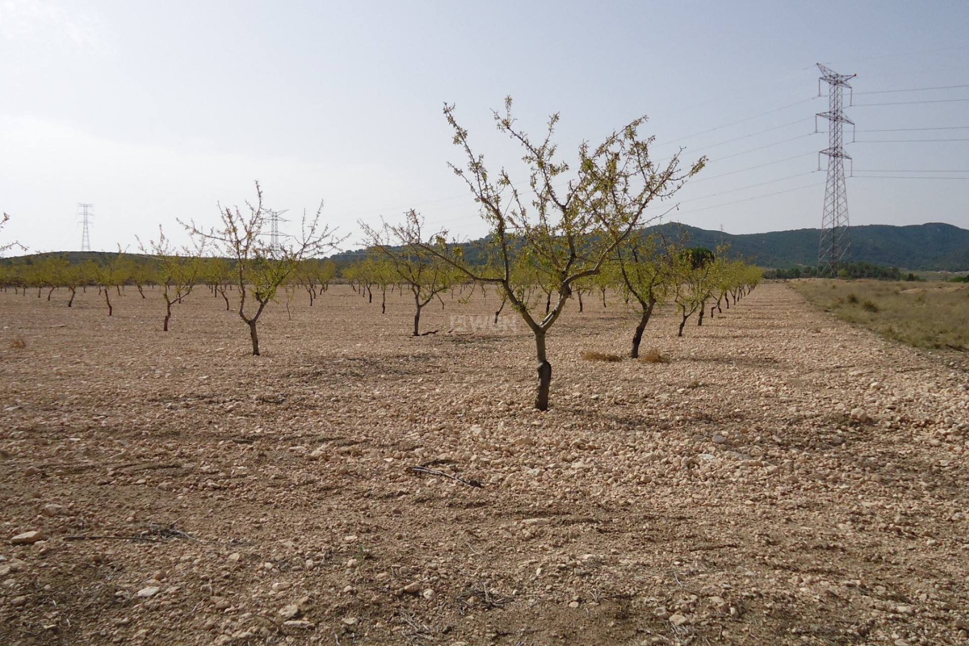 Wiederverkauf - Grundstück / Grundstück - Canada del Trigo - Inland