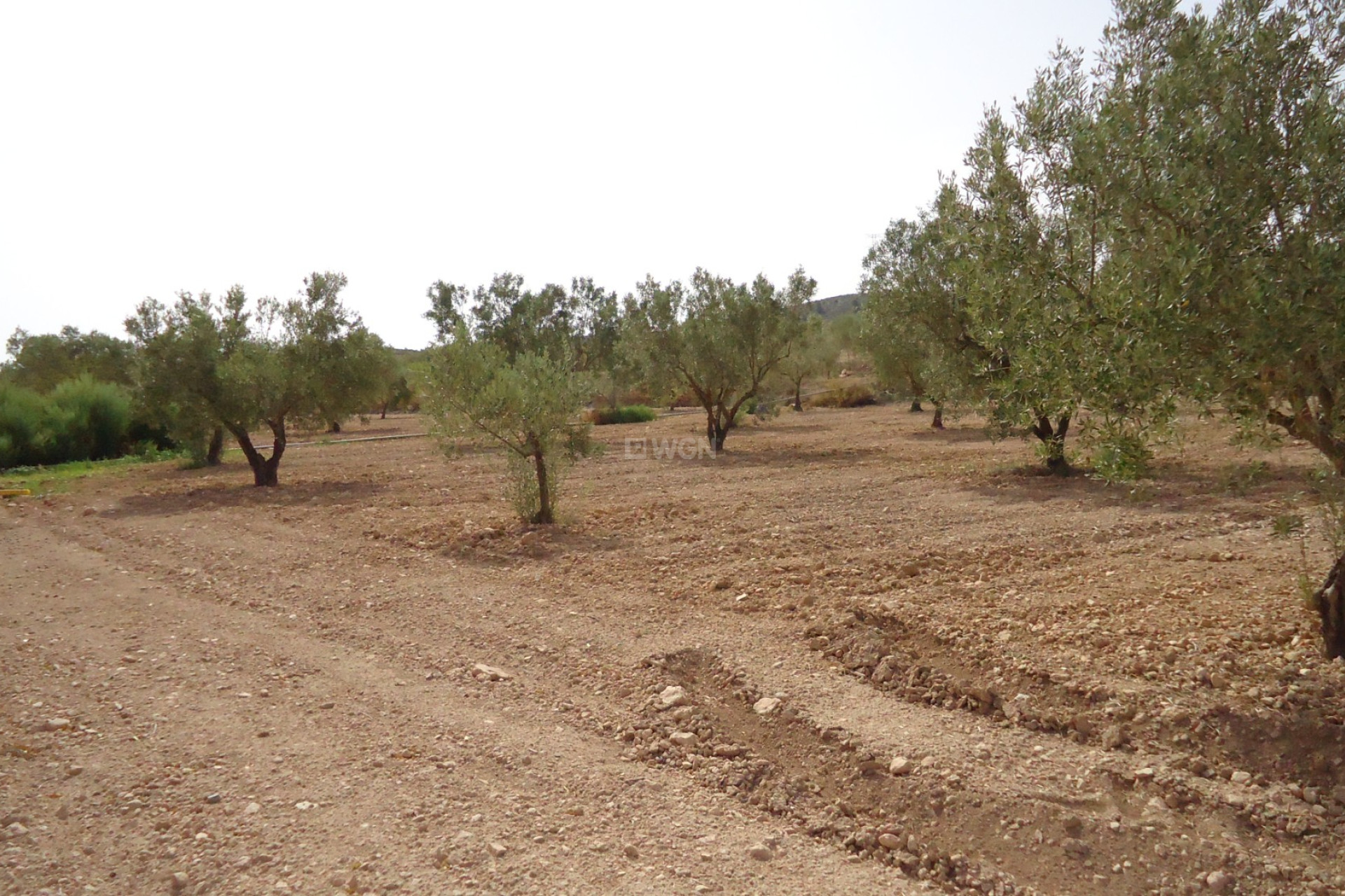 Wiederverkauf - Grundstück / Grundstück - Canada del Trigo - Inland