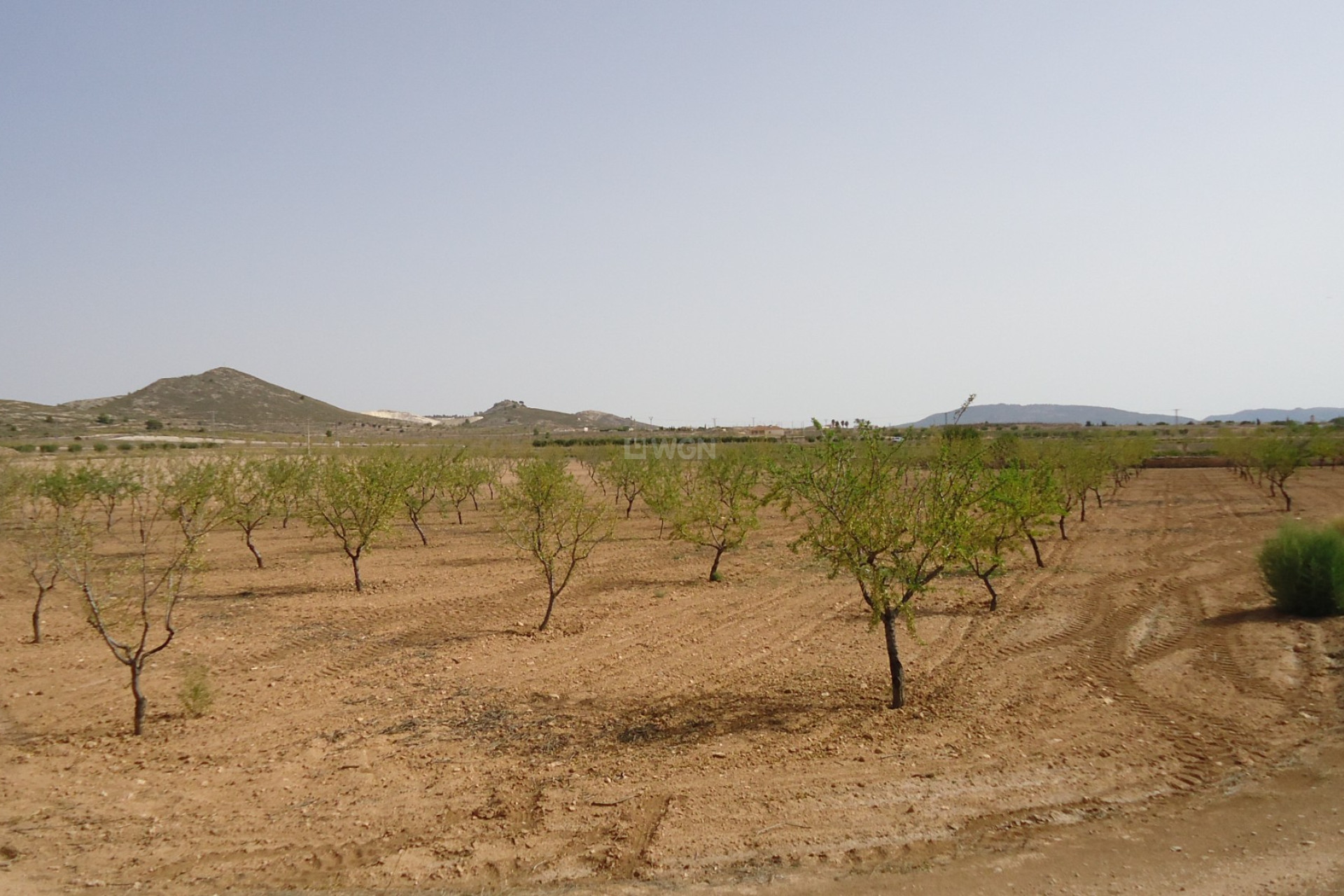 Wiederverkauf - Grundstück / Grundstück - Canada del Trigo - Inland