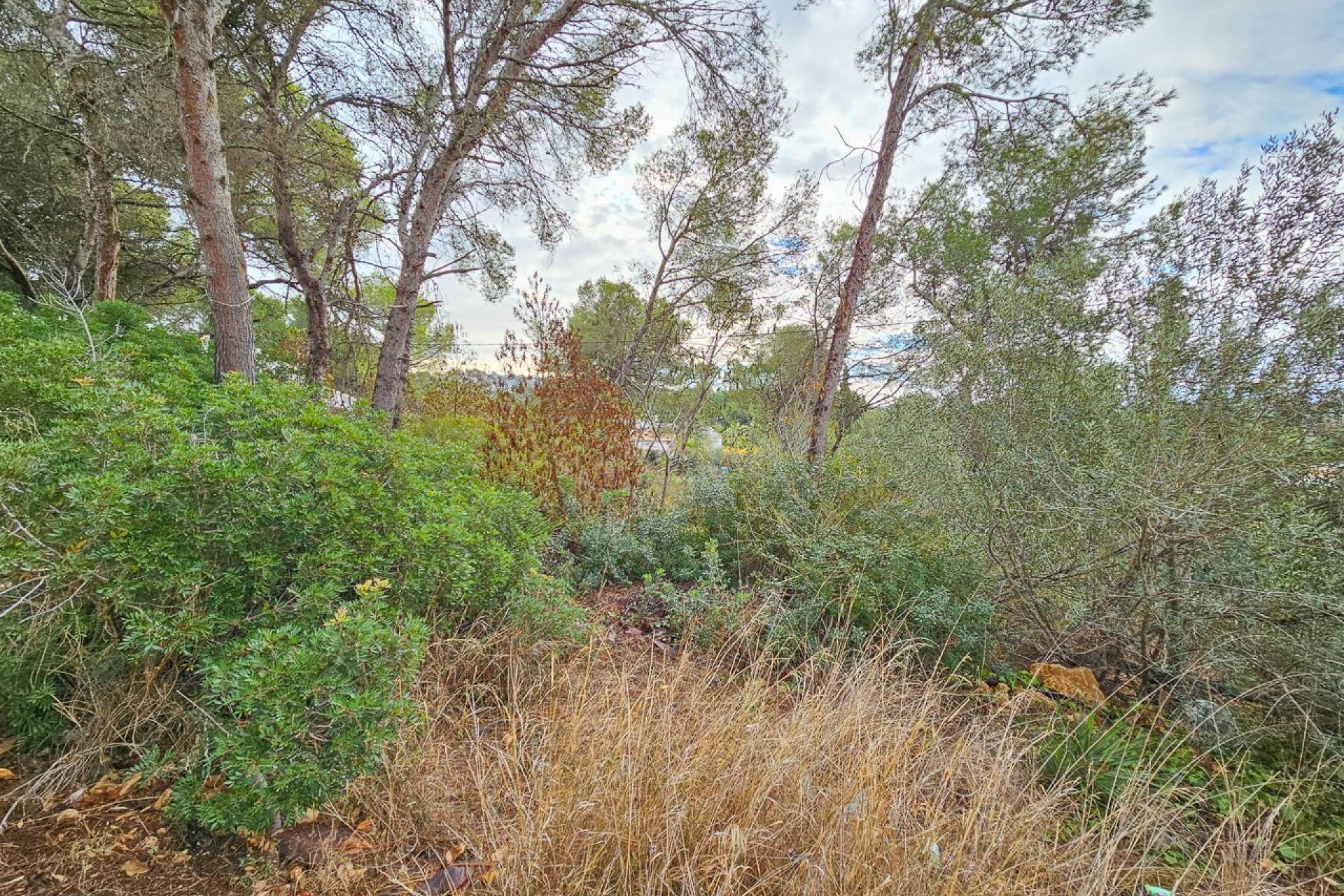 Wiederverkauf - Grundstück / Grundstück - Jávea - Costa Blanca