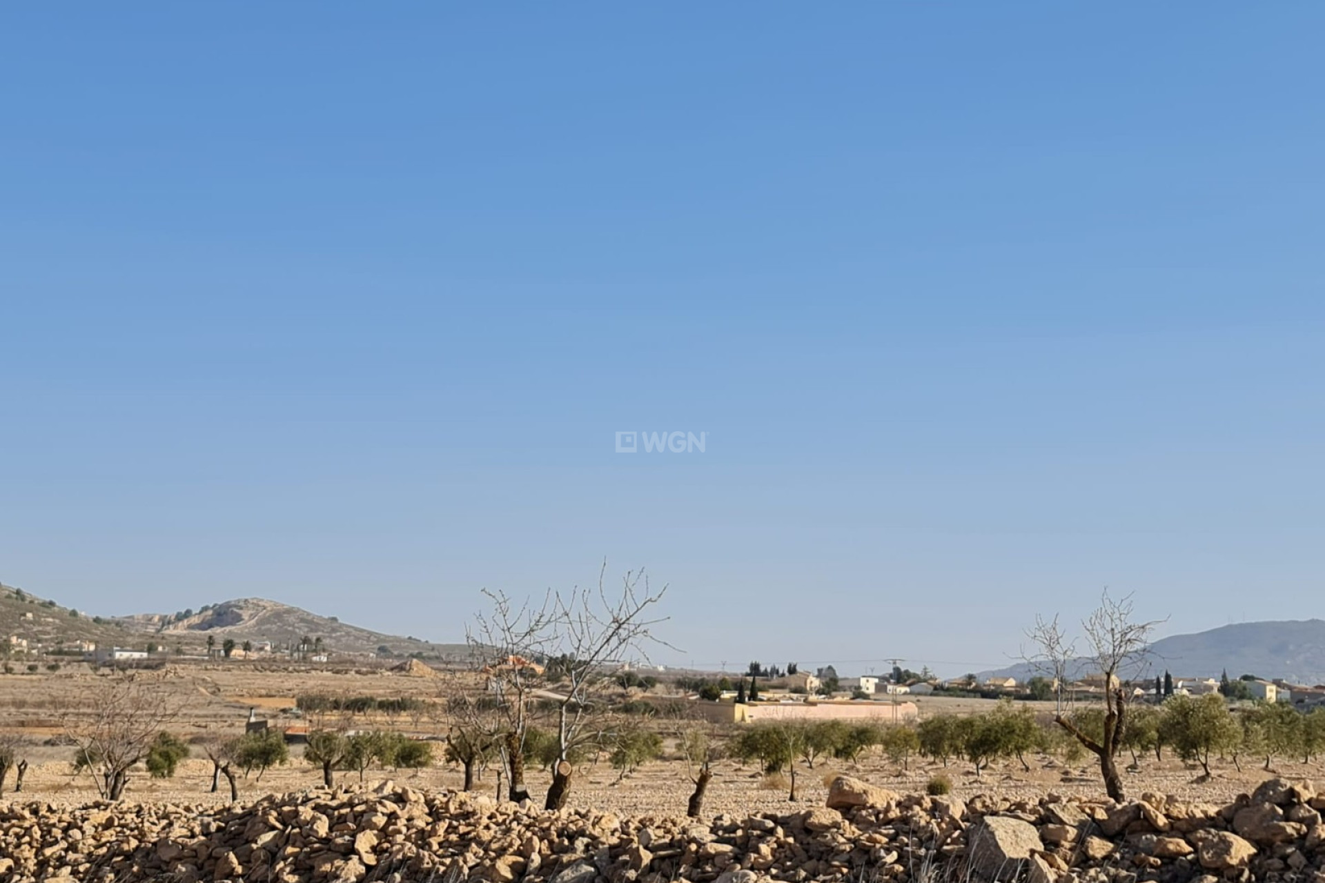 Wiederverkauf - Grundstück / Grundstück - Jumilla - Inland