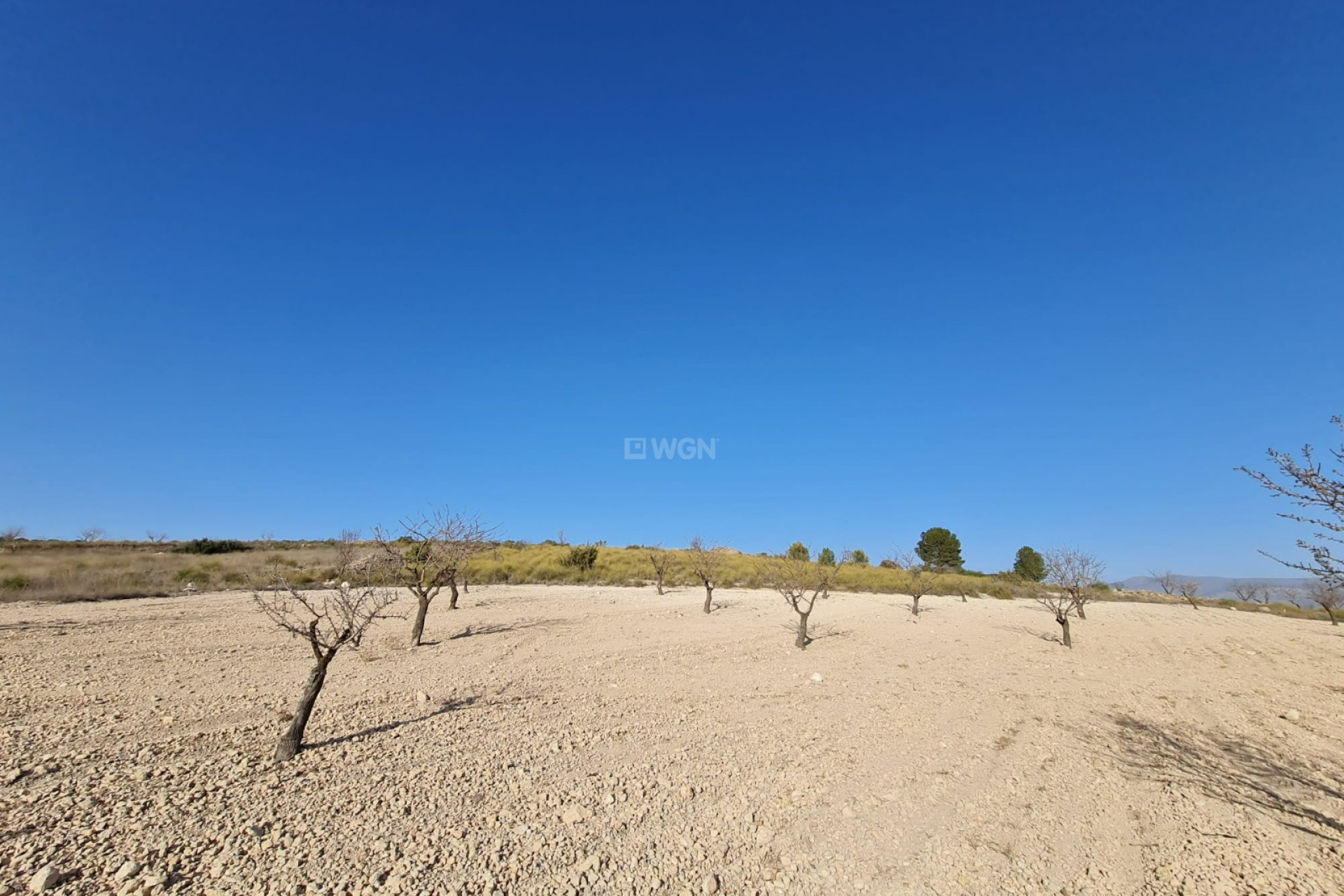 Wiederverkauf - Grundstück / Grundstück - Jumilla - Inland