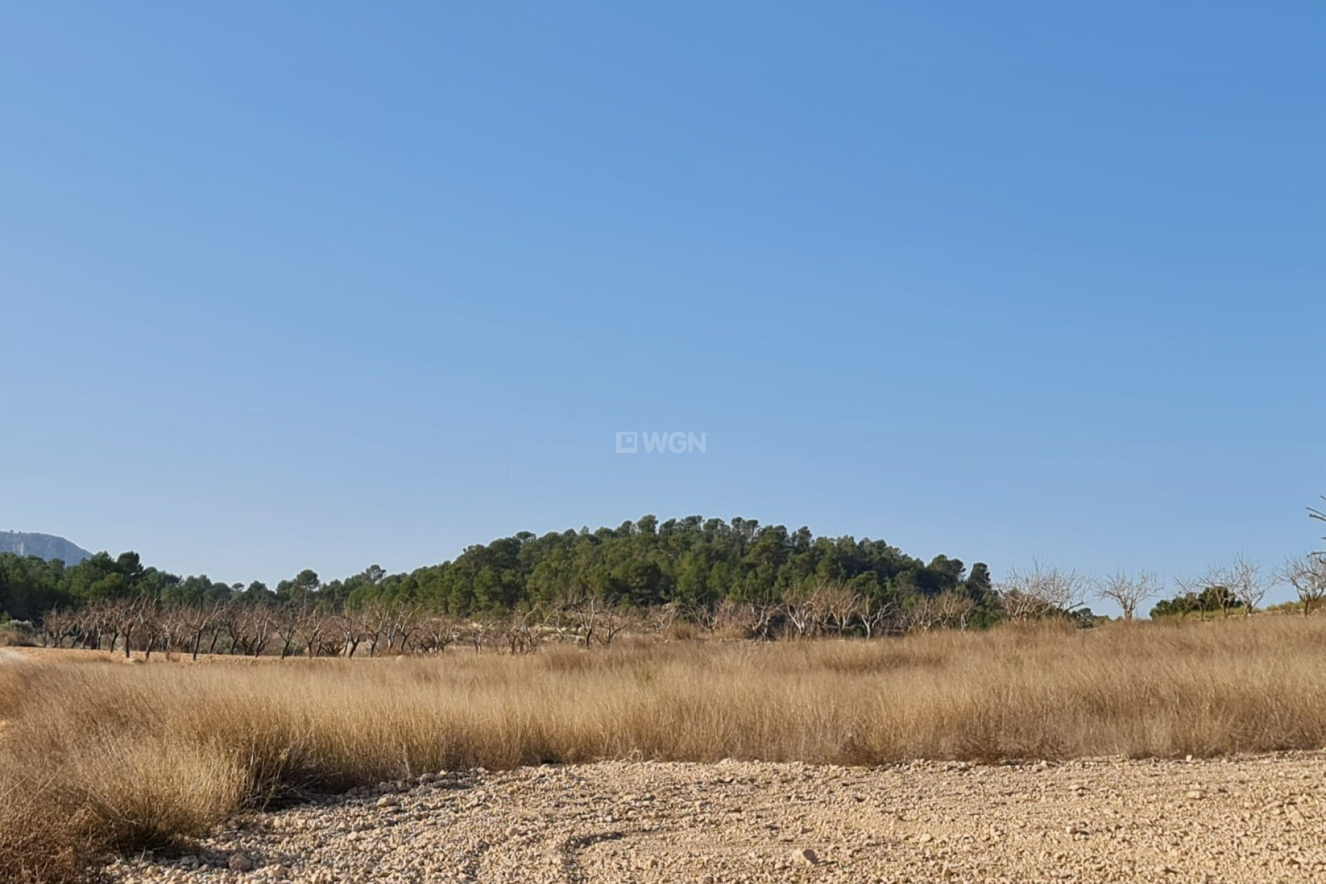 Wiederverkauf - Grundstück / Grundstück - Jumilla - Inland