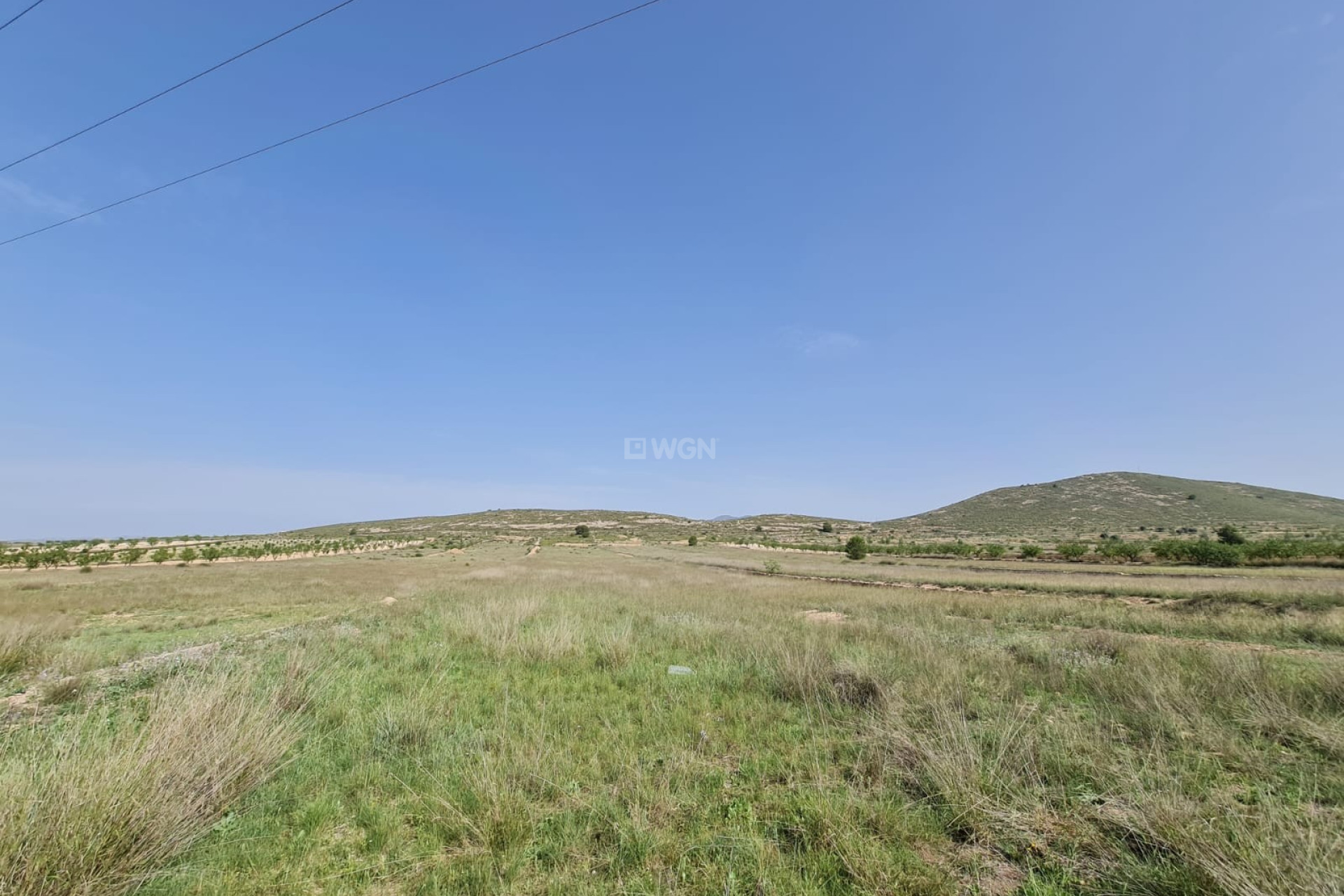 Wiederverkauf - Grundstück / Grundstück - Jumilla - Inland