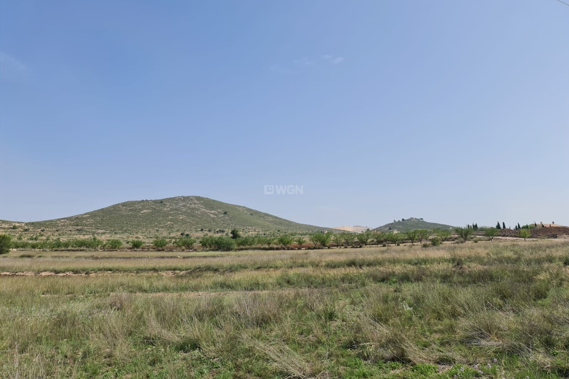 Wiederverkauf - Grundstück / Grundstück - Jumilla - Inland