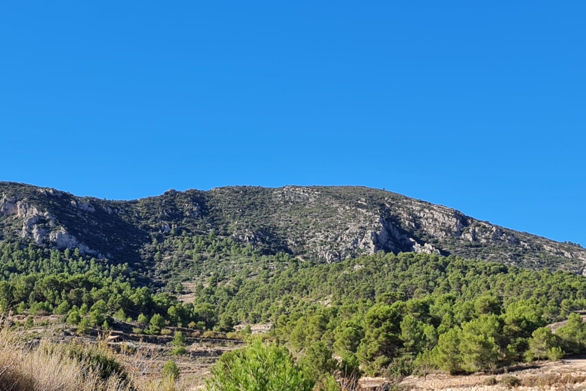 Wiederverkauf - Grundstück / Grundstück - La Romana - Inland