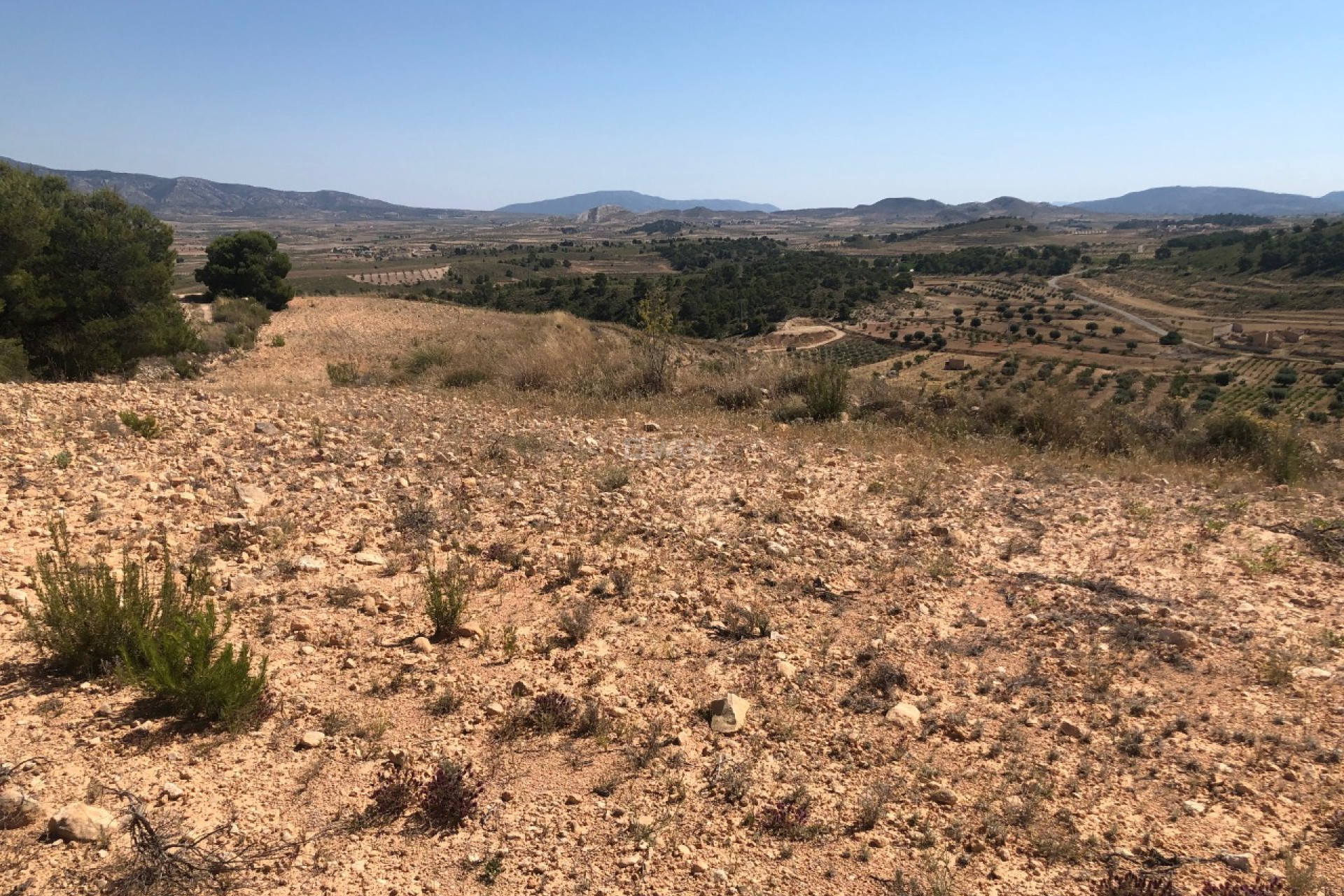 Wiederverkauf - Grundstück / Grundstück - La Zarza - Inland