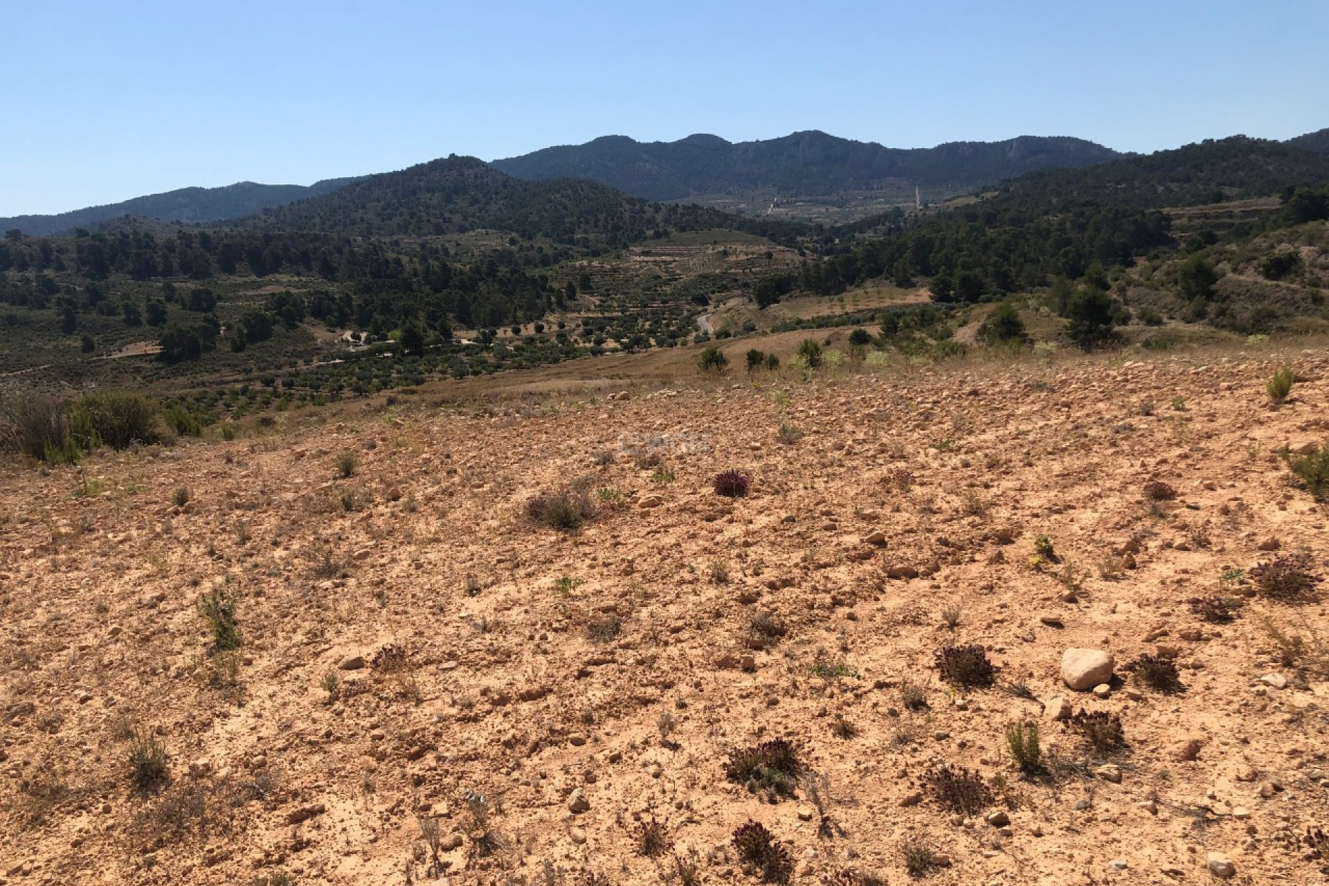 Wiederverkauf - Grundstück / Grundstück - La Zarza - Inland