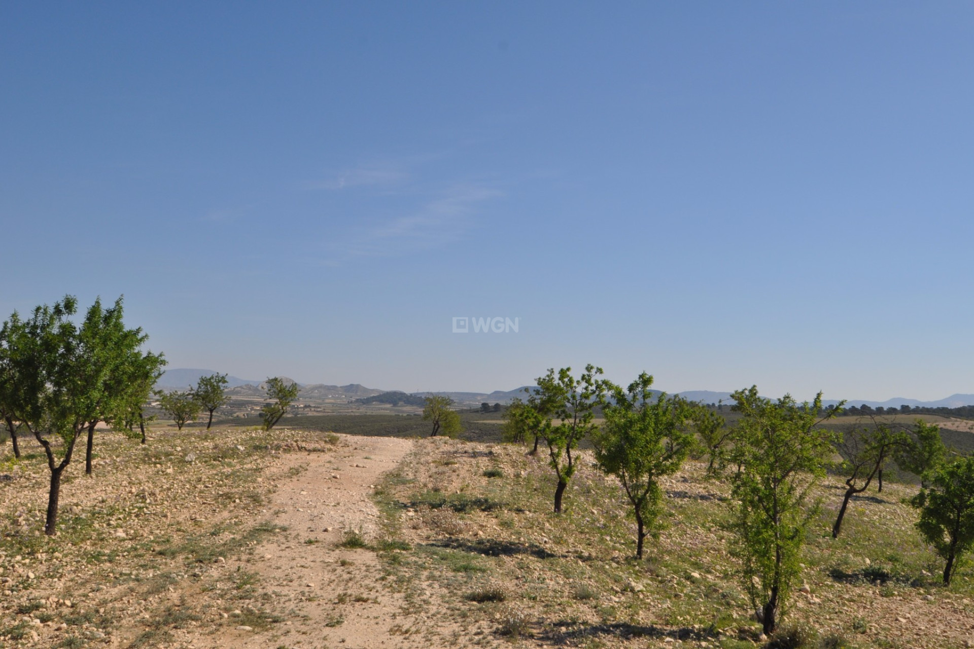 Wiederverkauf - Grundstück / Grundstück - La Zarza - Inland