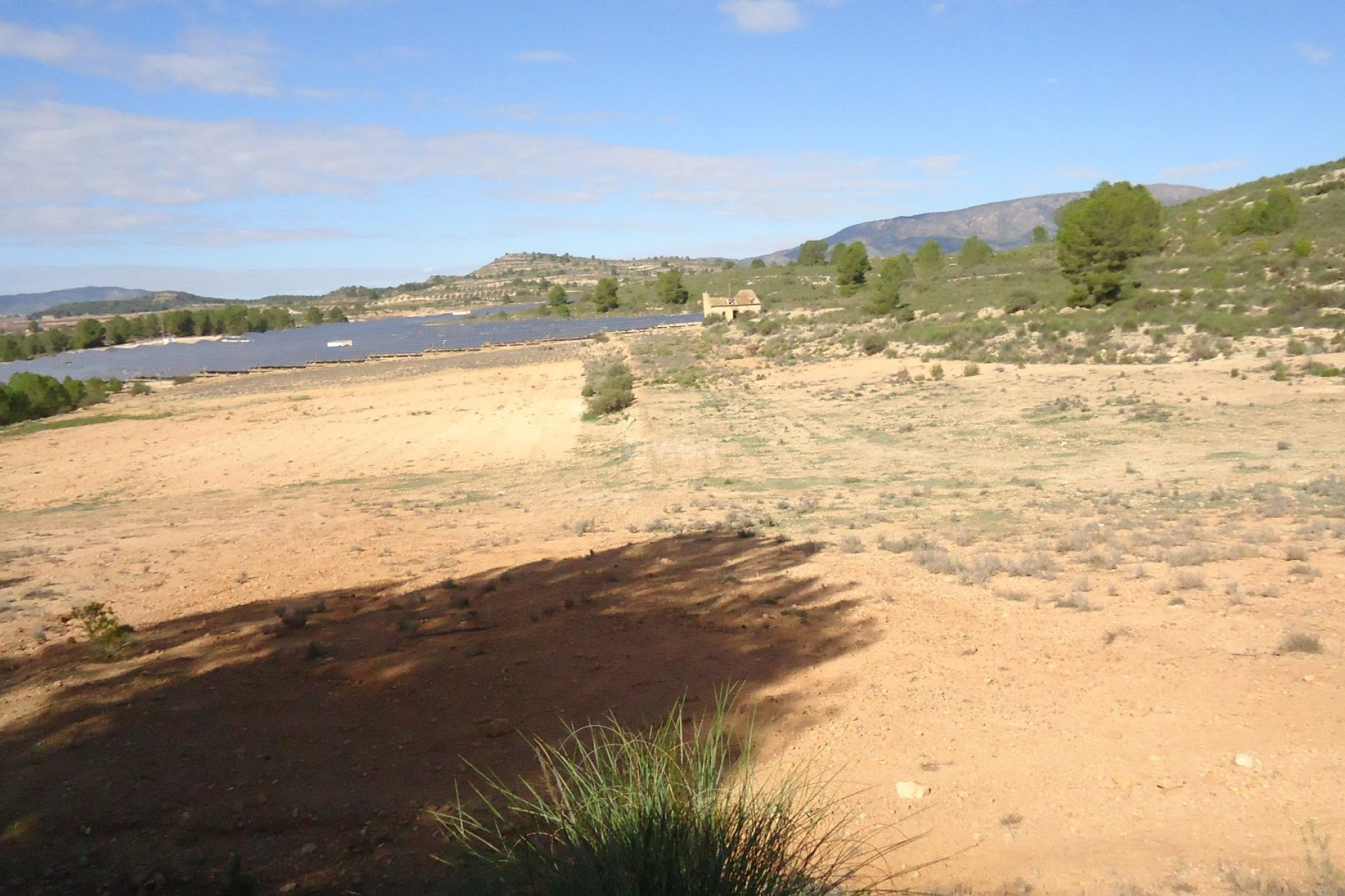 Wiederverkauf - Grundstück / Grundstück - Monóvar/Monóver - Inland