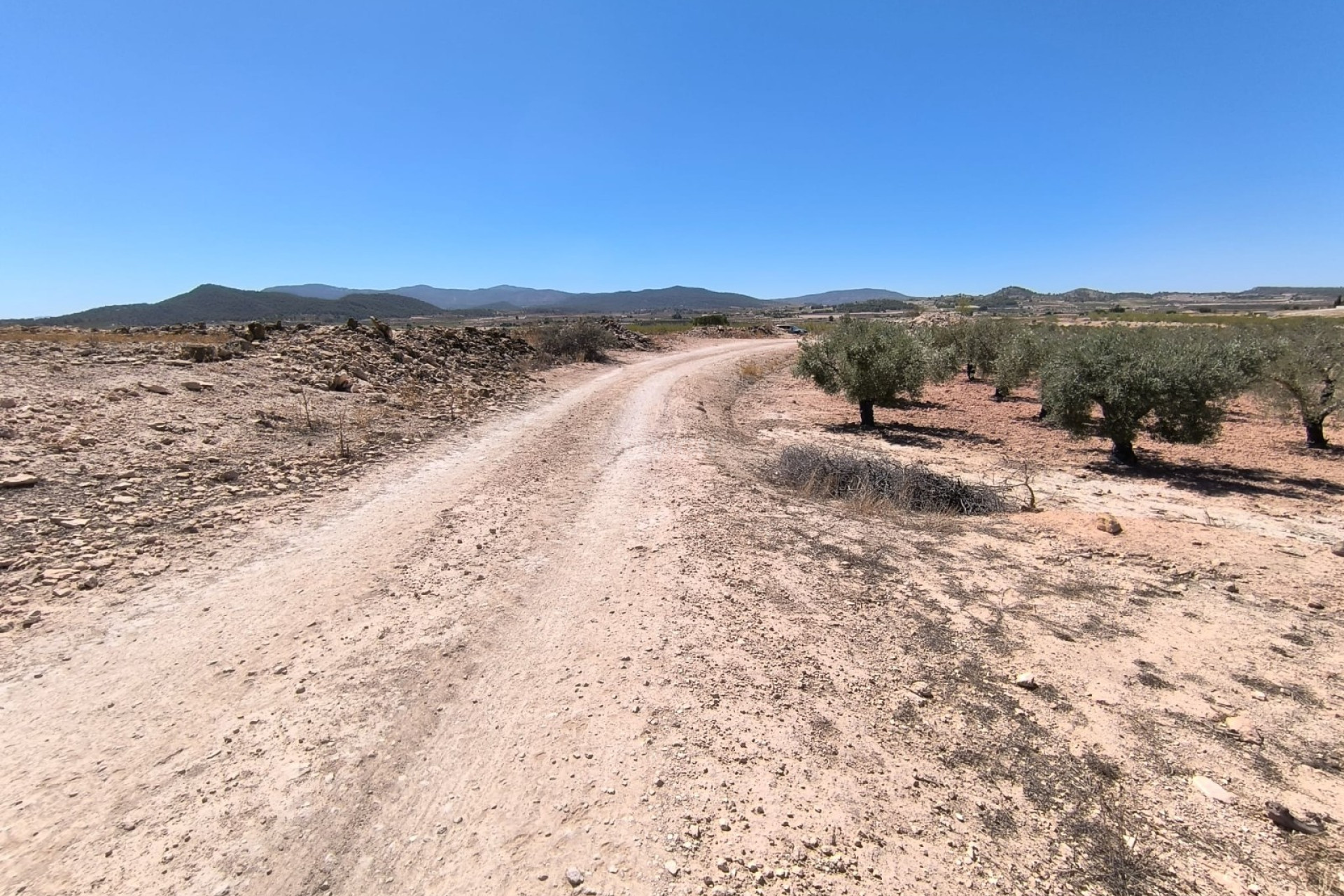 Wiederverkauf - Grundstück / Grundstück - Monóvar/Monóver - Inland