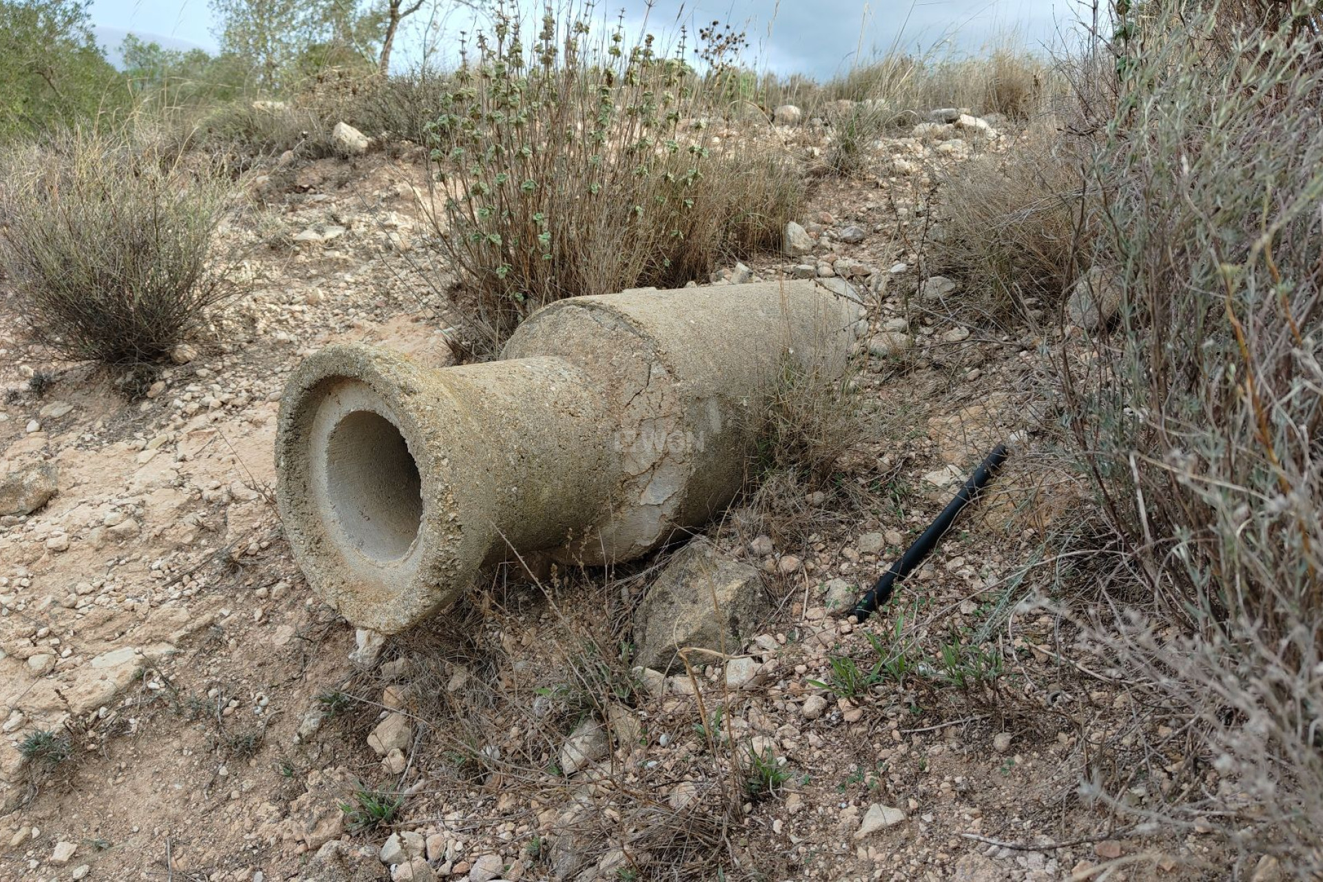 Wiederverkauf - Grundstück / Grundstück - Monóvar/Monóver - Inland