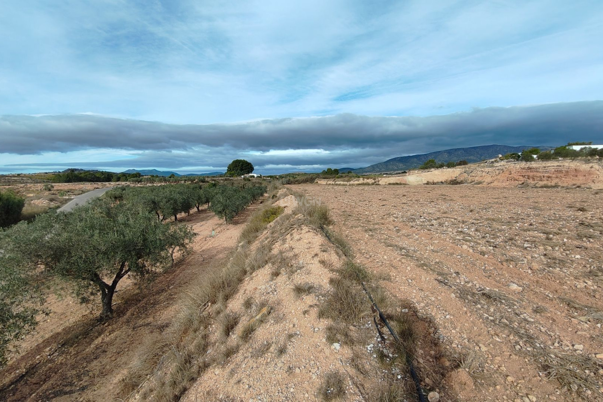 Wiederverkauf - Grundstück / Grundstück - Monóvar/Monóver - Inland