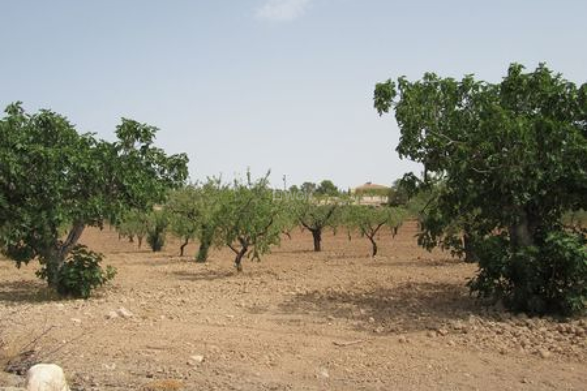 Wiederverkauf - Grundstück / Grundstück - Murcia - Inland