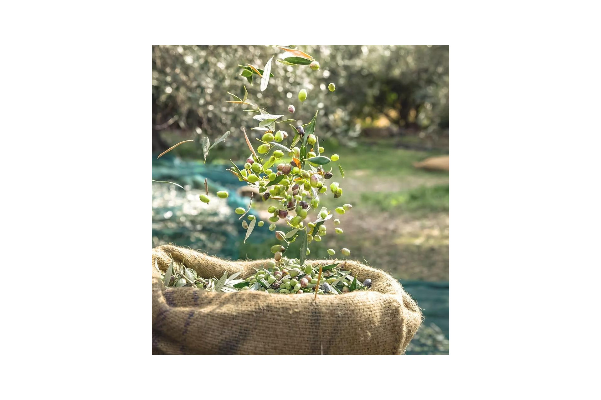 Wiederverkauf - Grundstück / Grundstück - Murcia - Inland