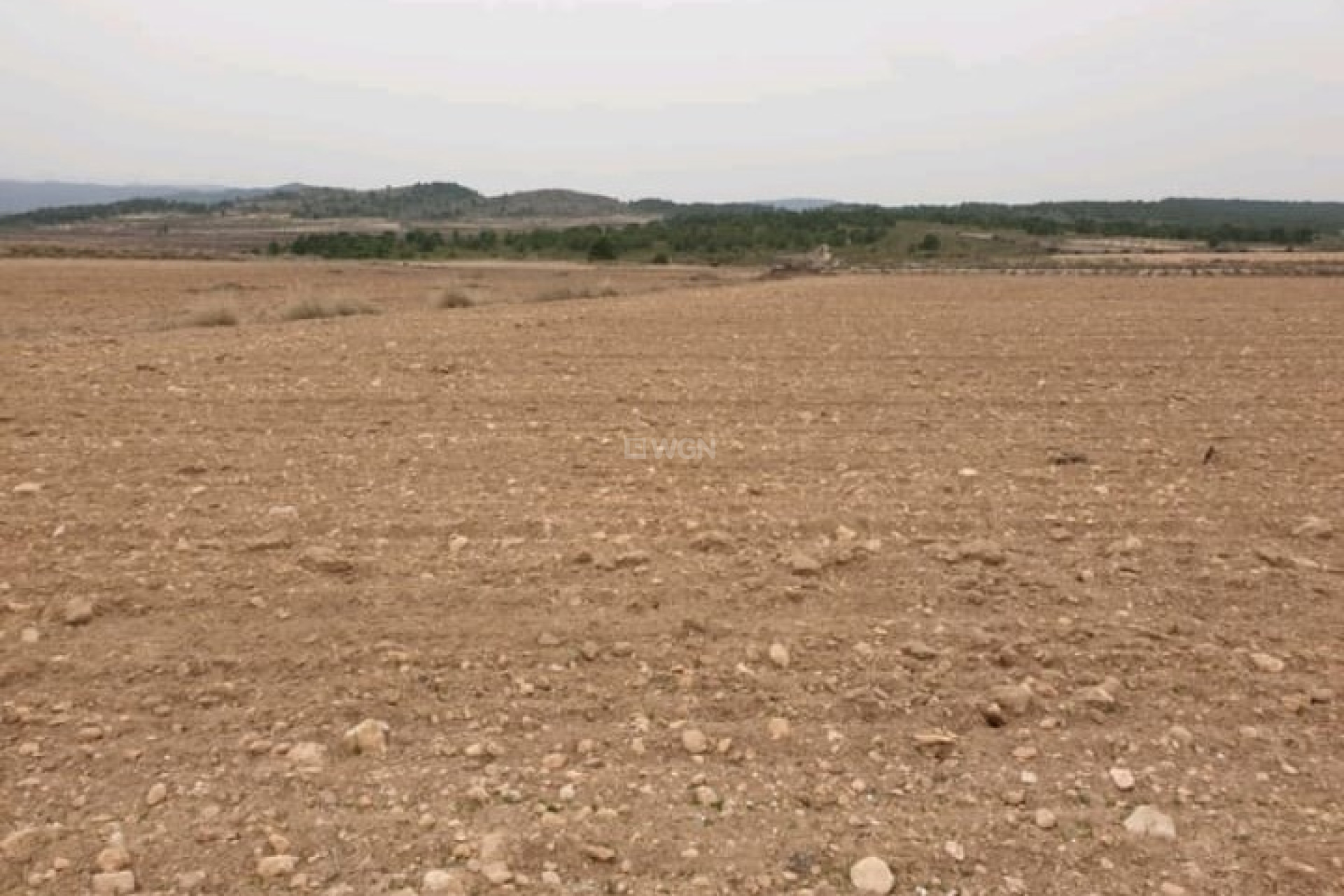 Wiederverkauf - Grundstück / Grundstück - Pinoso - Inland