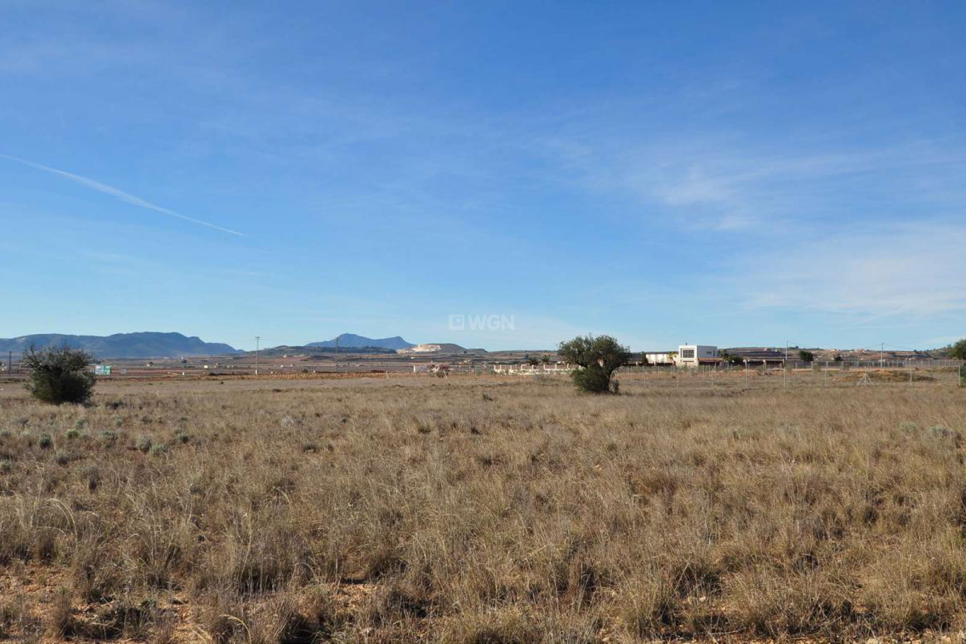 Wiederverkauf - Grundstück / Grundstück - Pinoso - Inland