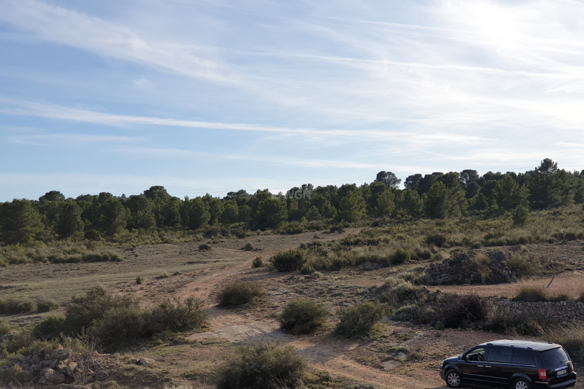 Wiederverkauf - Grundstück / Grundstück - Pinoso - Inland
