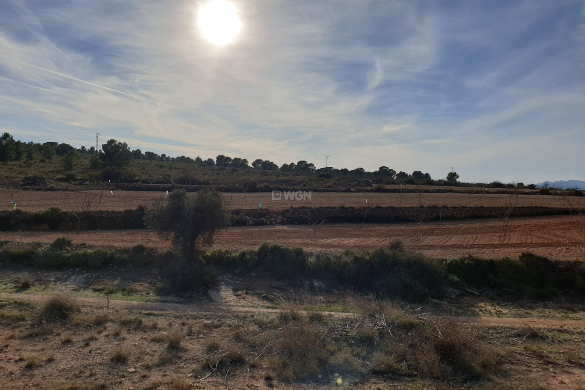 Wiederverkauf - Grundstück / Grundstück - Pinoso - Inland