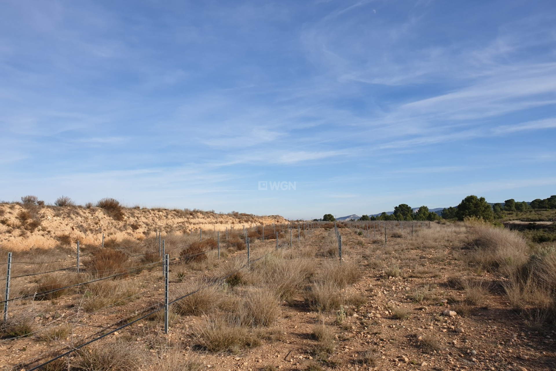 Wiederverkauf - Grundstück / Grundstück - Pinoso - Inland