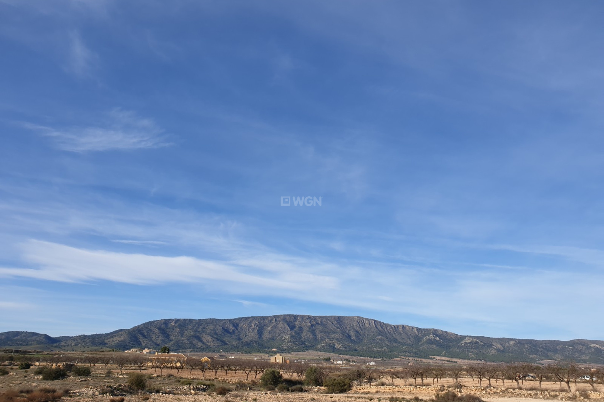 Wiederverkauf - Grundstück / Grundstück - Pinoso - Inland