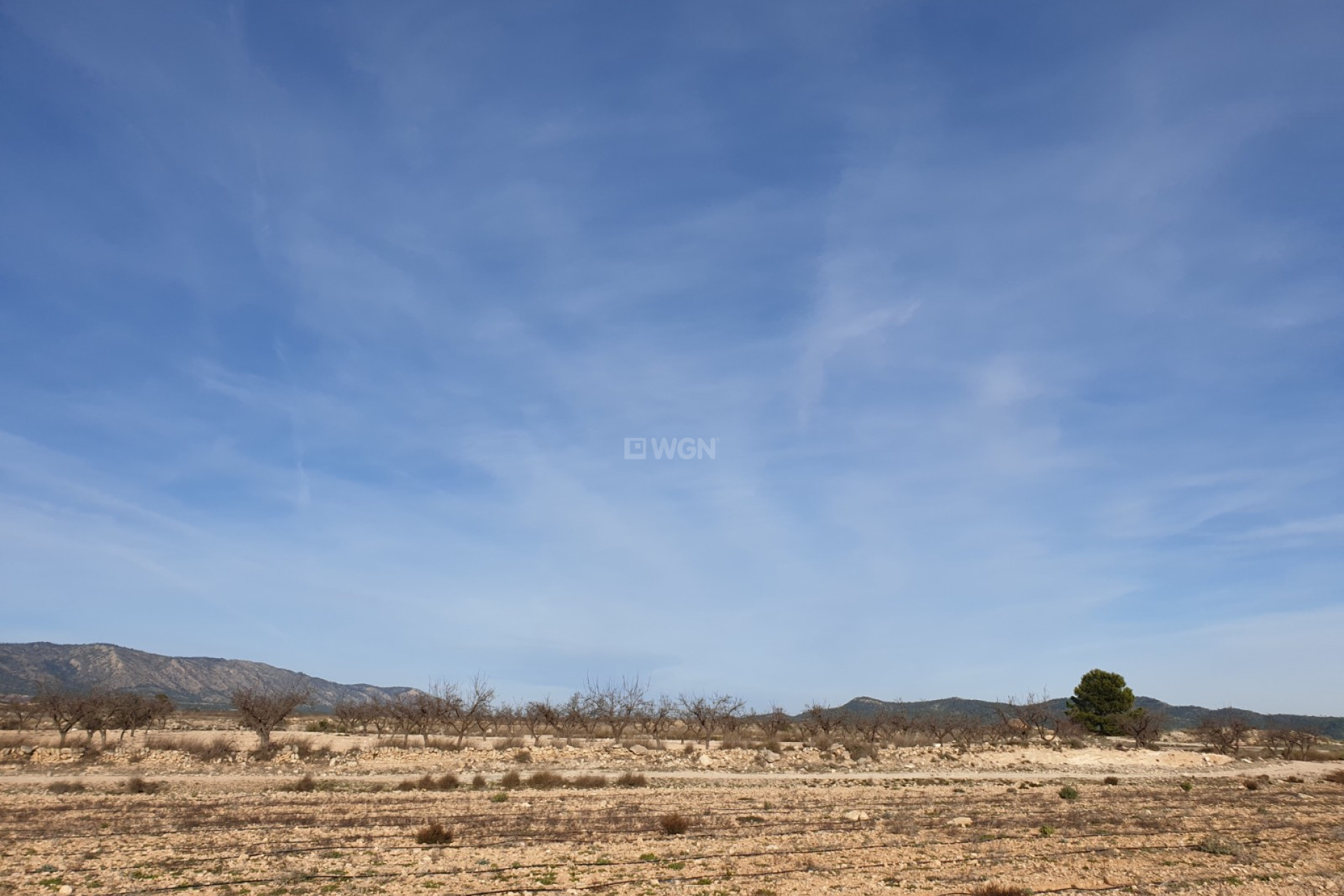 Wiederverkauf - Grundstück / Grundstück - Pinoso - Inland