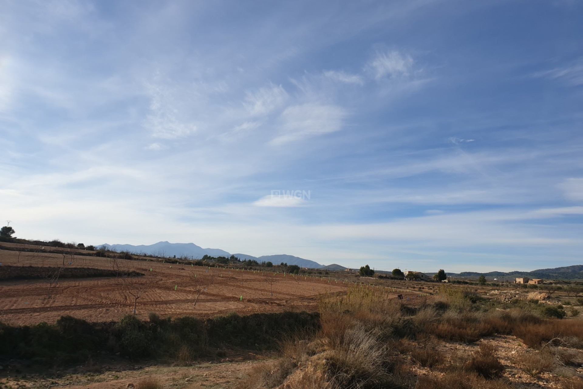 Wiederverkauf - Grundstück / Grundstück - Pinoso - Inland