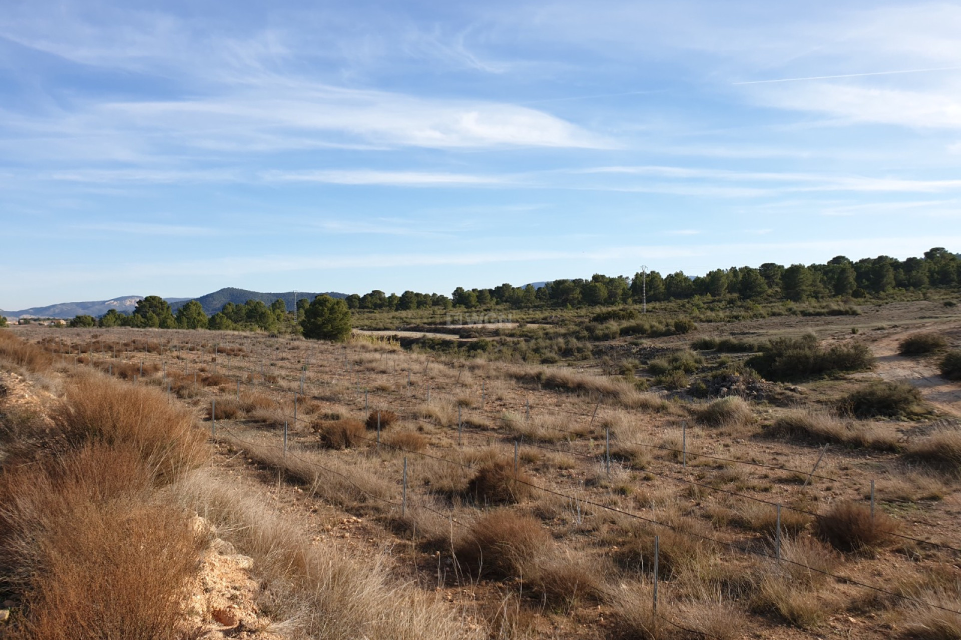 Wiederverkauf - Grundstück / Grundstück - Pinoso - Inland