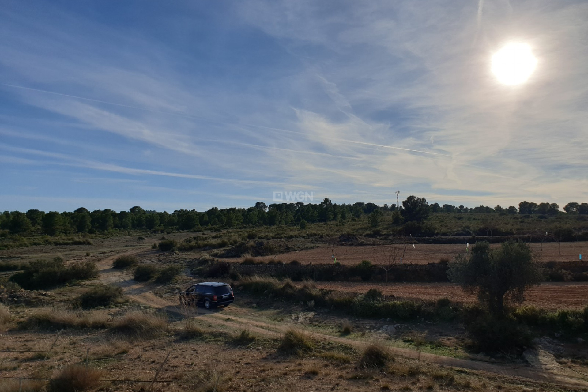 Wiederverkauf - Grundstück / Grundstück - Pinoso - Inland