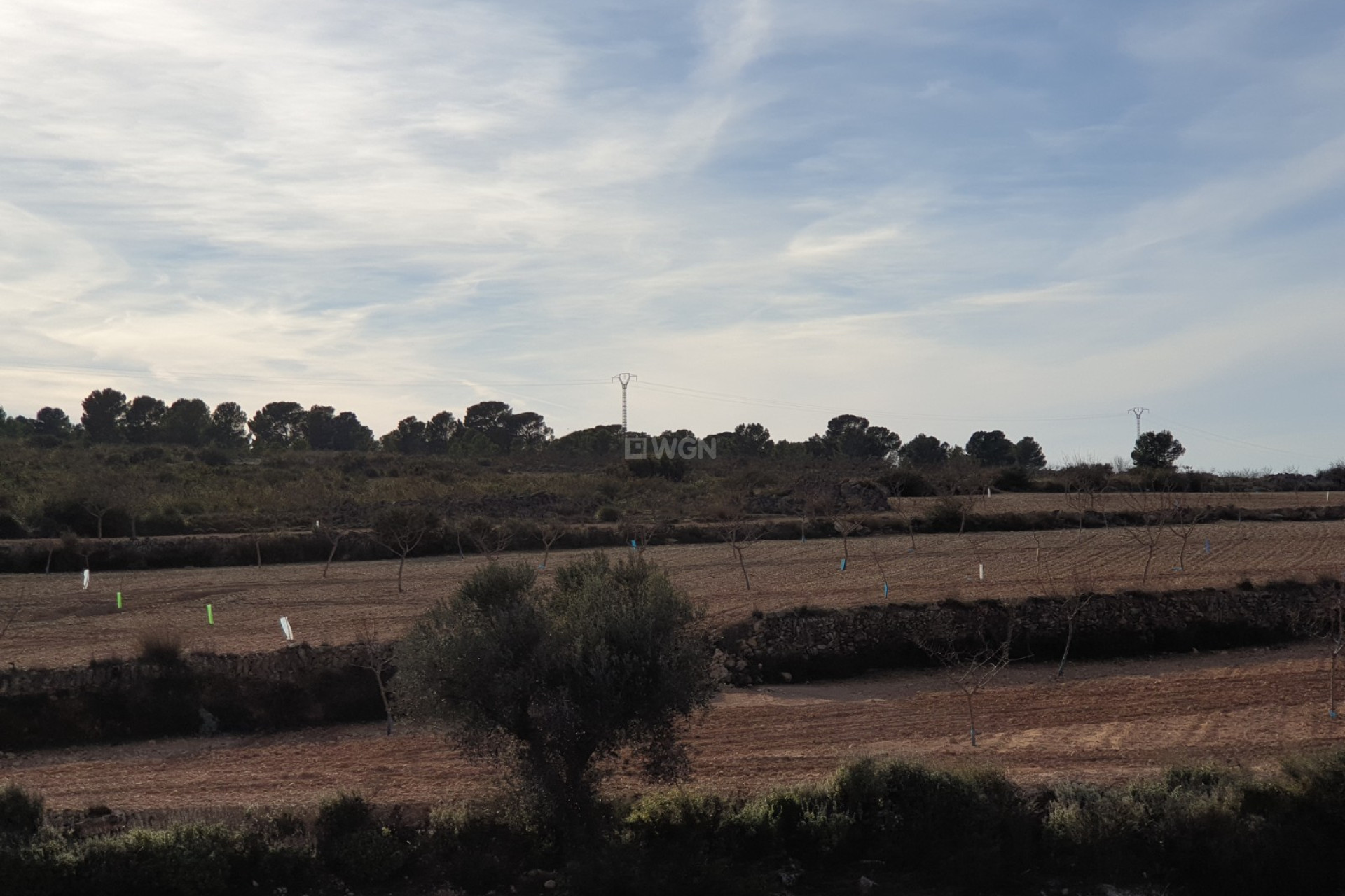 Wiederverkauf - Grundstück / Grundstück - Pinoso - Inland