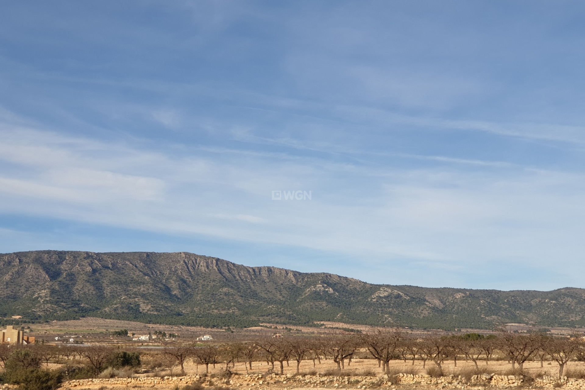Wiederverkauf - Grundstück / Grundstück - Pinoso - Inland