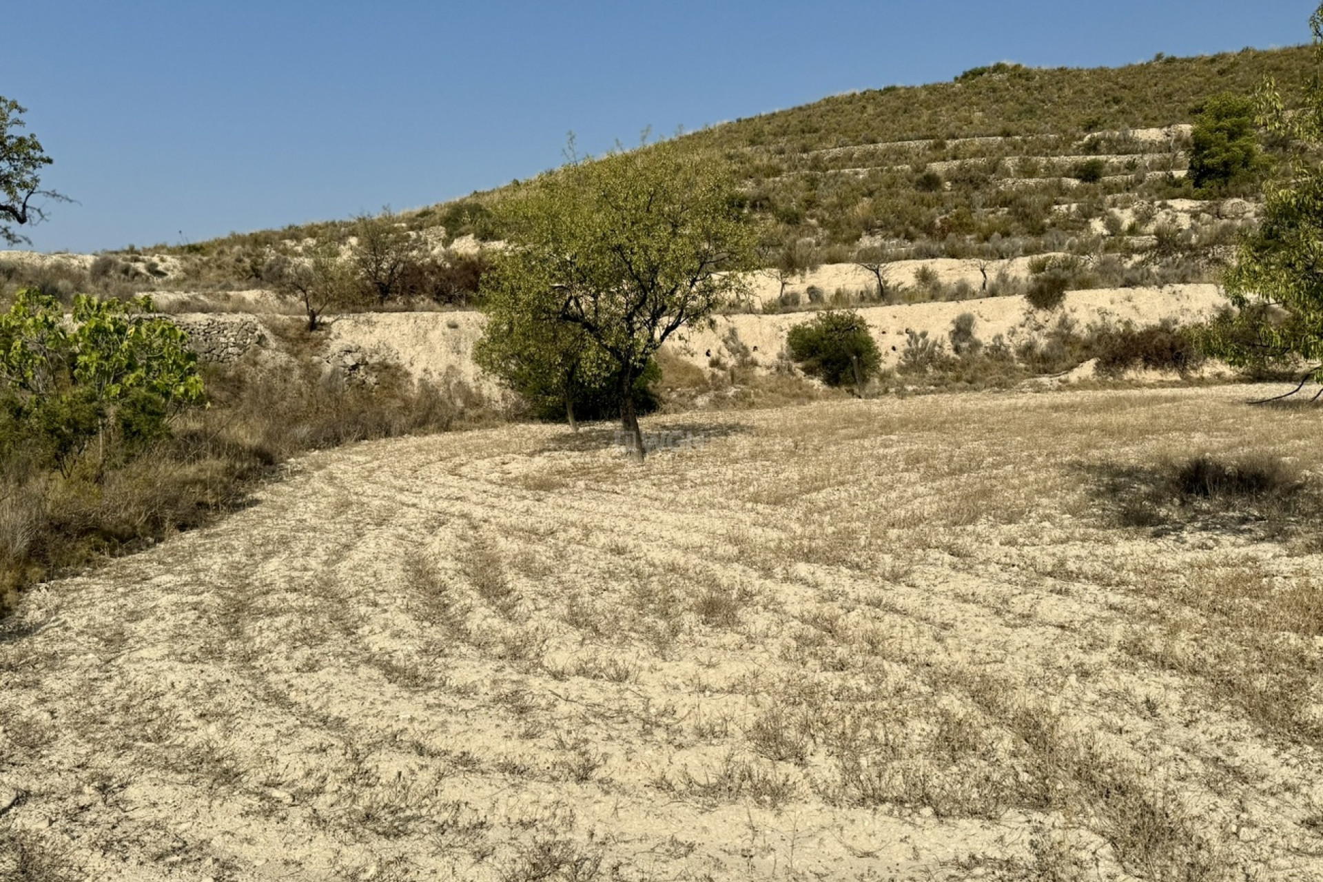 Wiederverkauf - Grundstück / Grundstück - Relleu - Costa Blanca