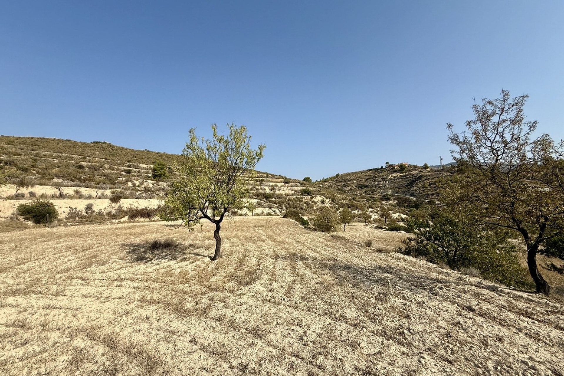 Wiederverkauf - Grundstück / Grundstück - Relleu - Costa Blanca