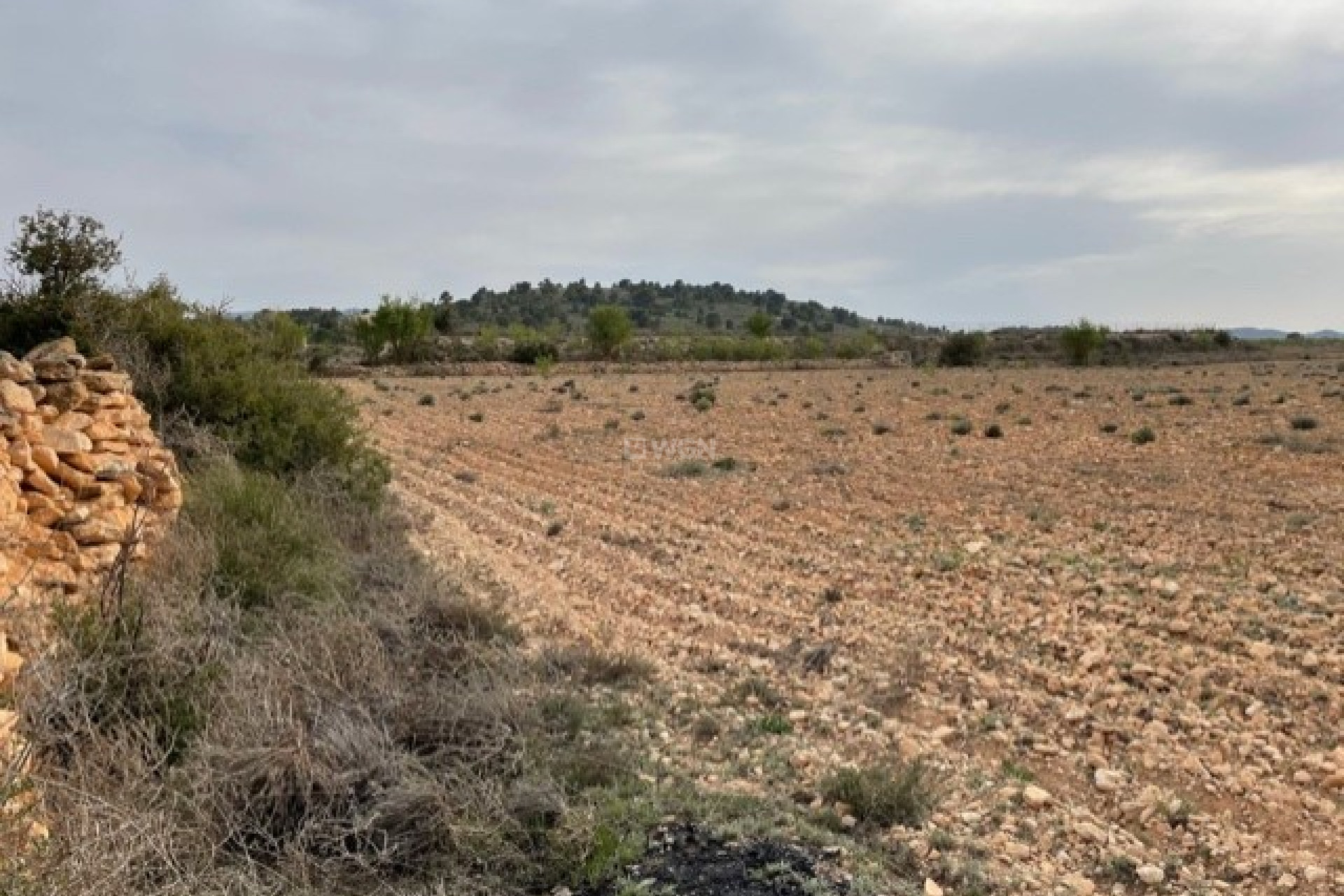 Wiederverkauf - Grundstück / Grundstück - Yecla - Inland